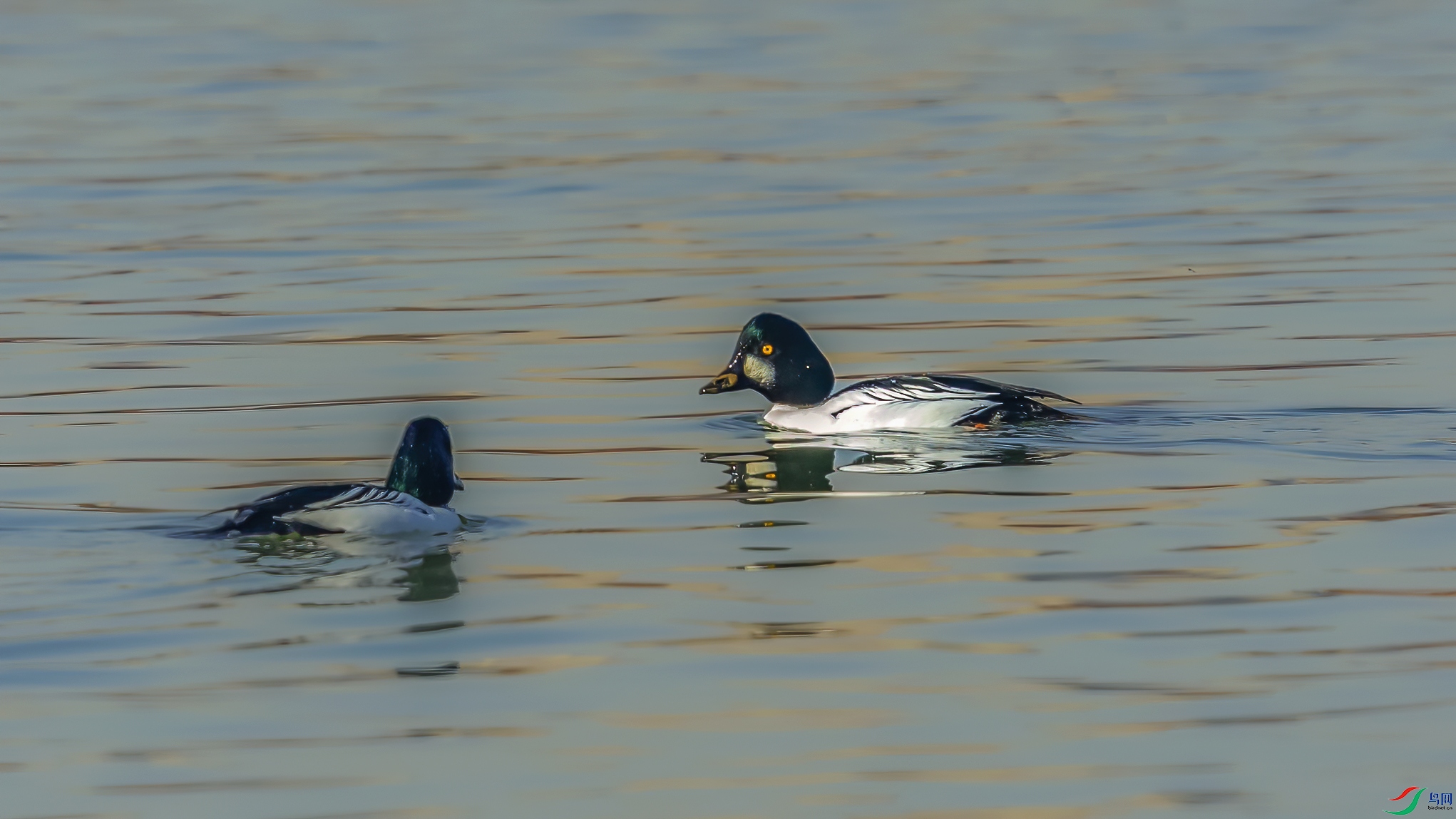 AE1V9004 ����.jpg