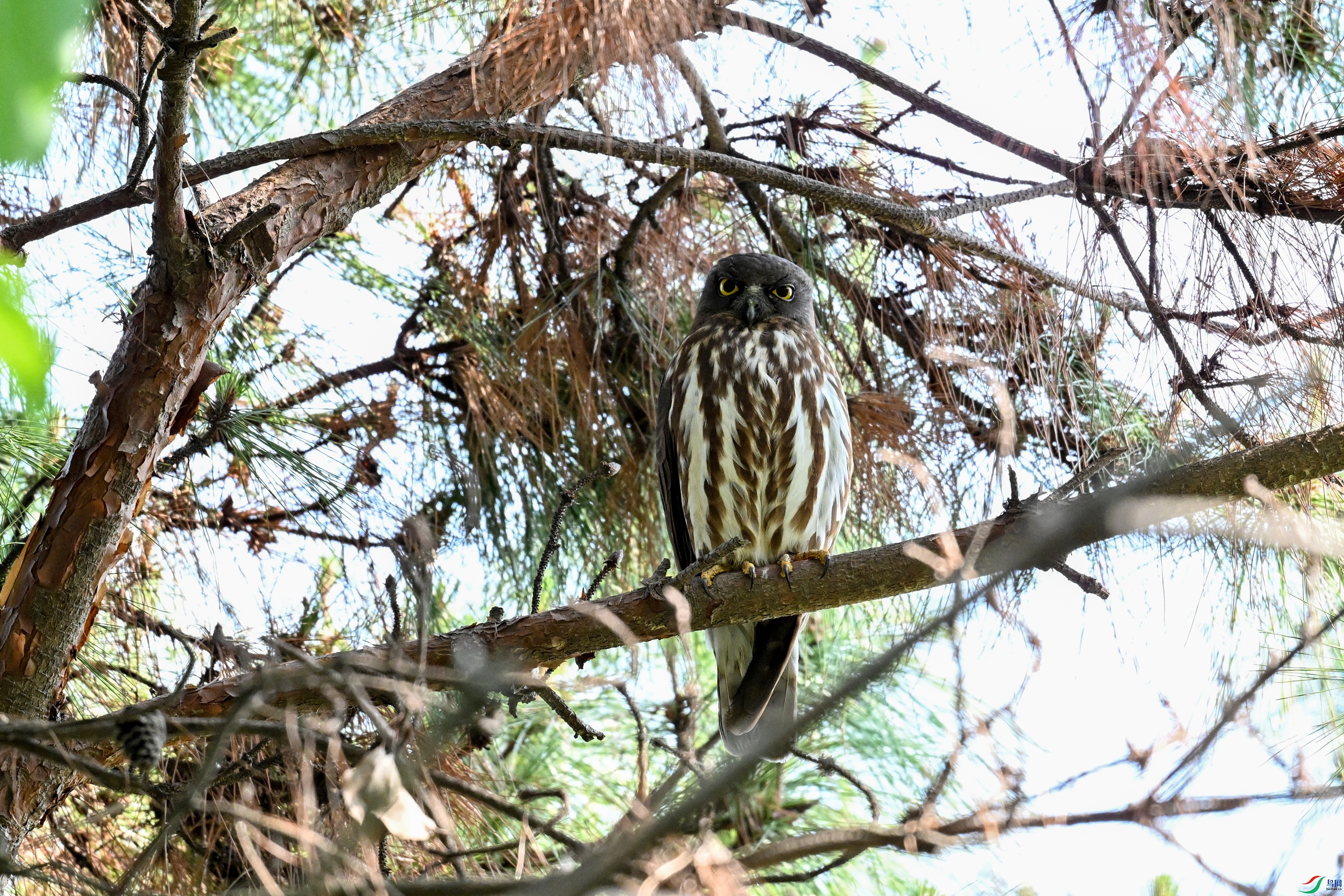 DSC_3470.JPG