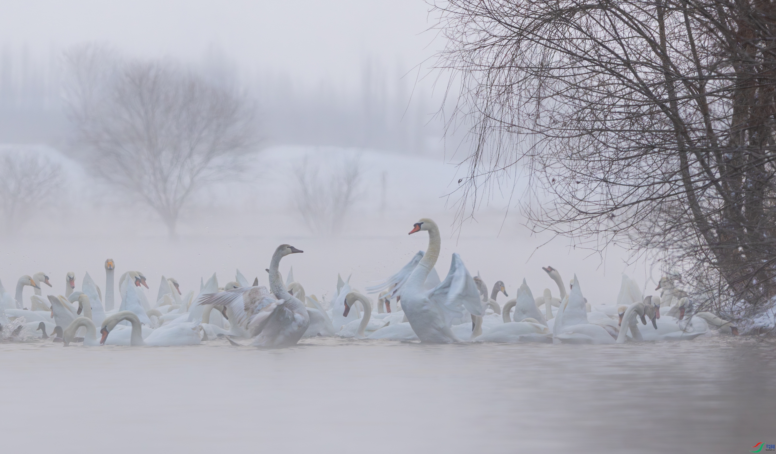 DSC_3821-����ǿ-NR-11.jpg