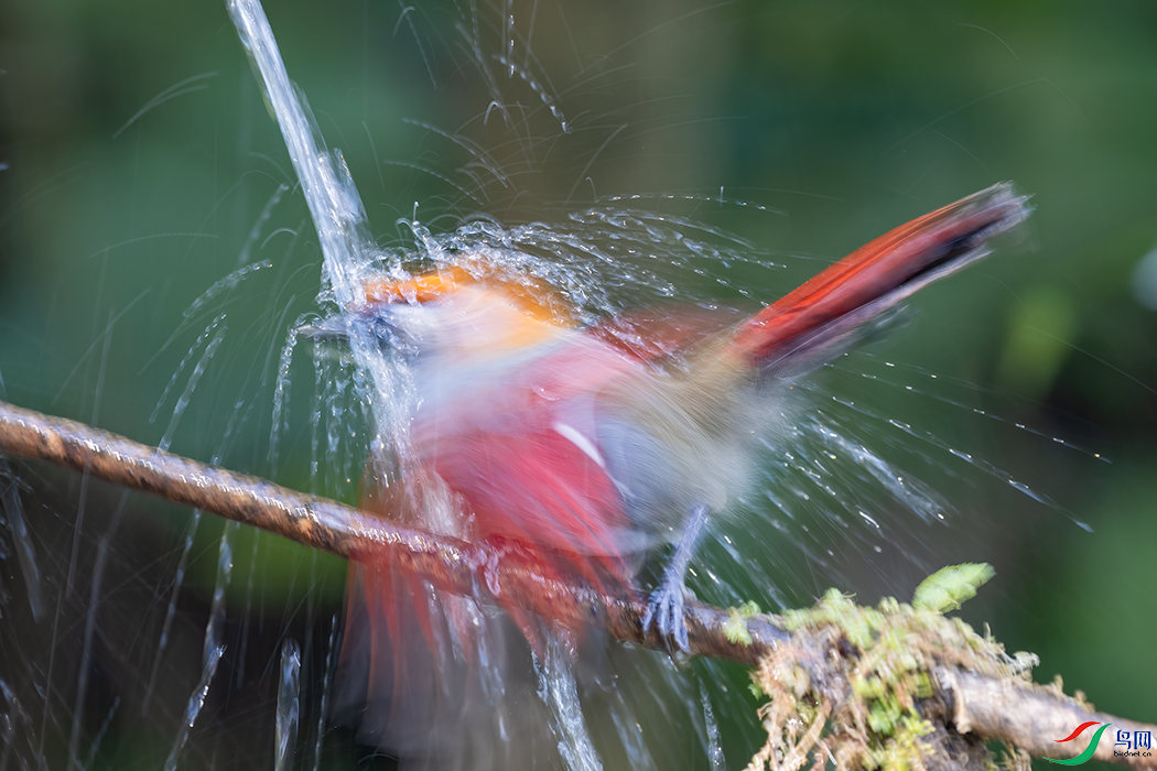 DSC_8688.png