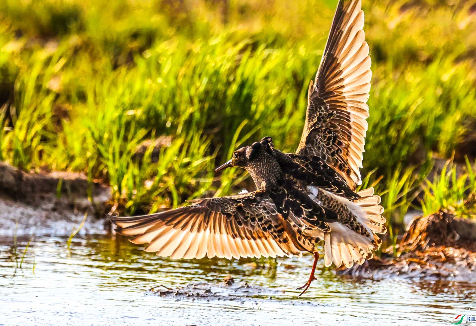 ˧�����40 ����.jpg