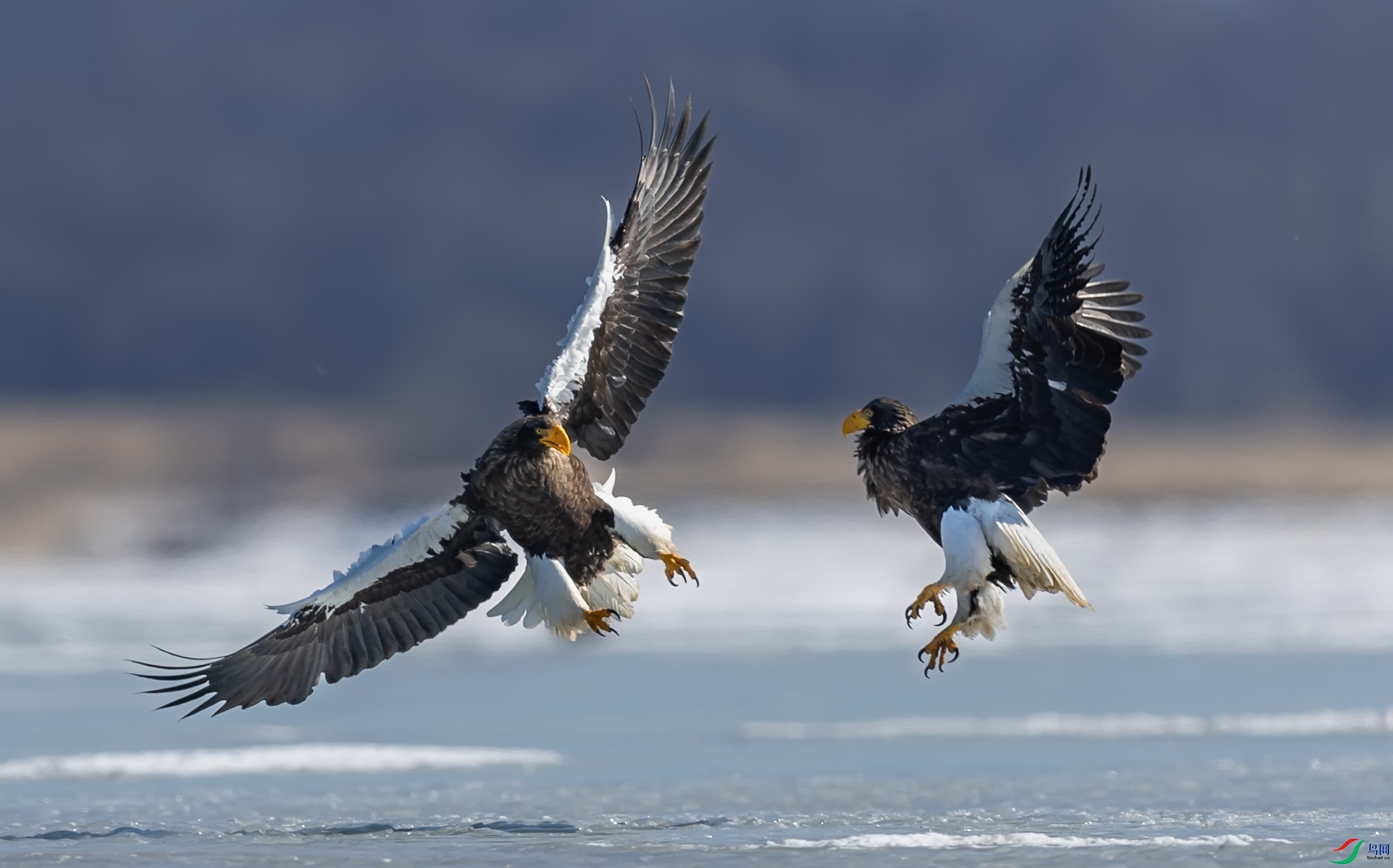 ��ͷ����