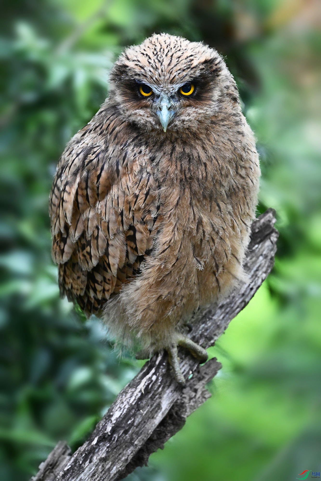DSC_9648_.jpg