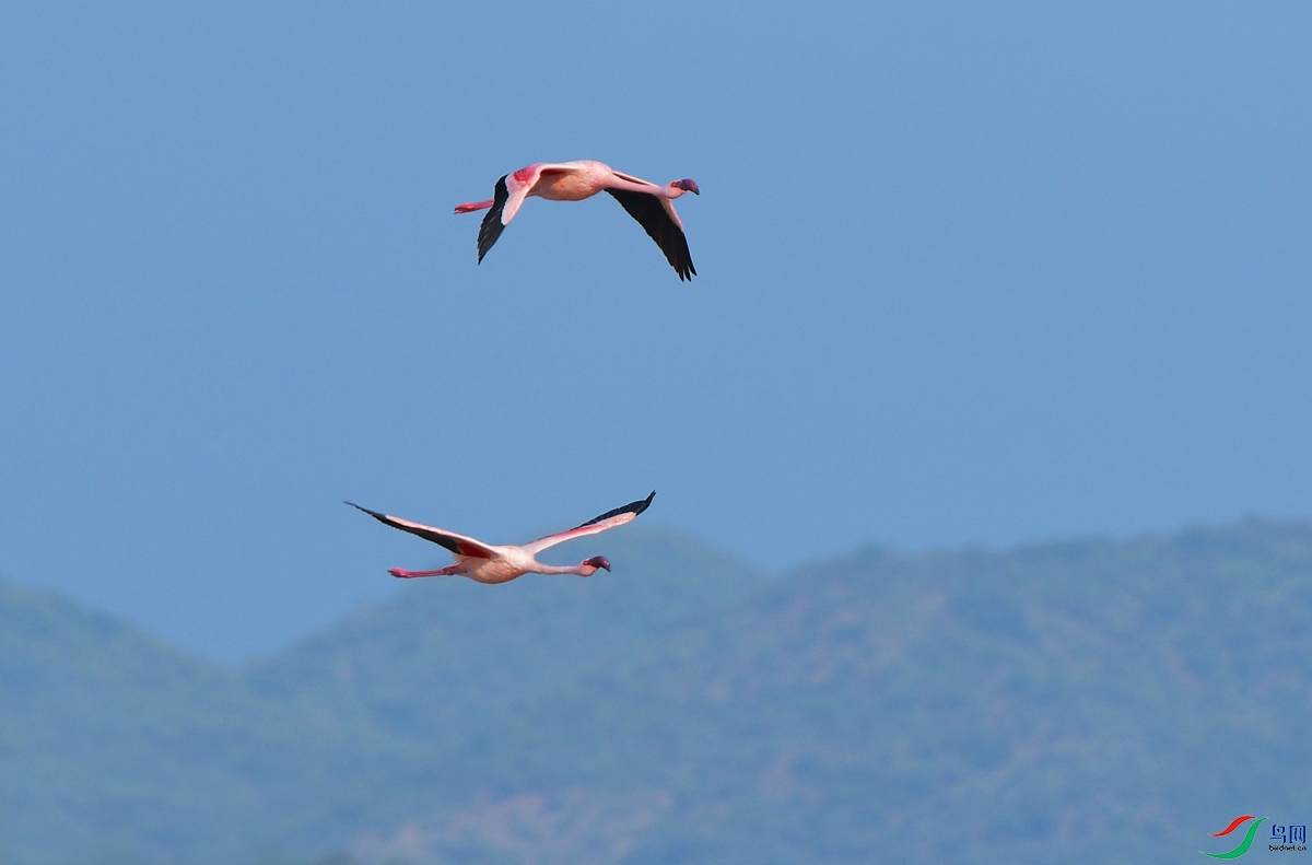 DSC_1564.JPG