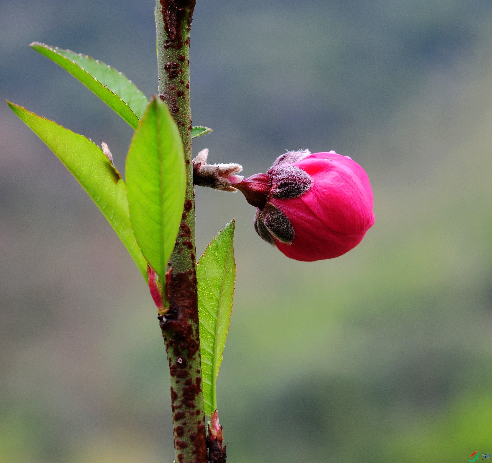 DSC_9178.jpg