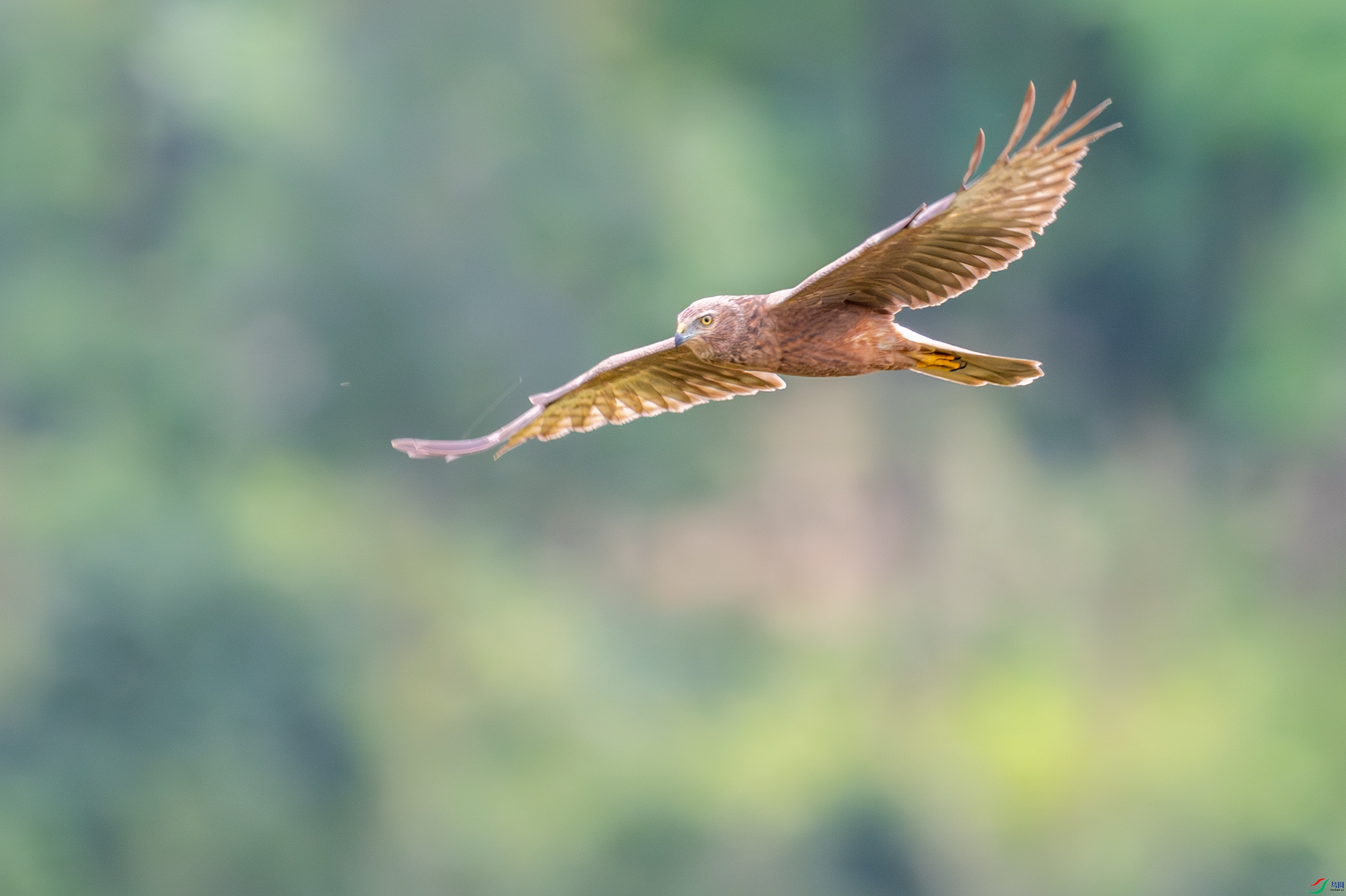 DSC_5568_1.JPG
