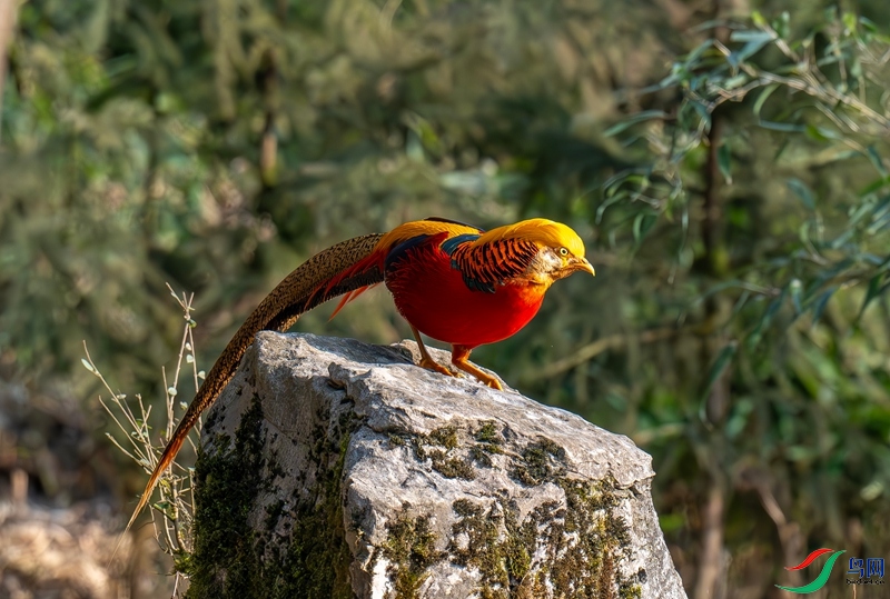 DSC_7573_����.jpg