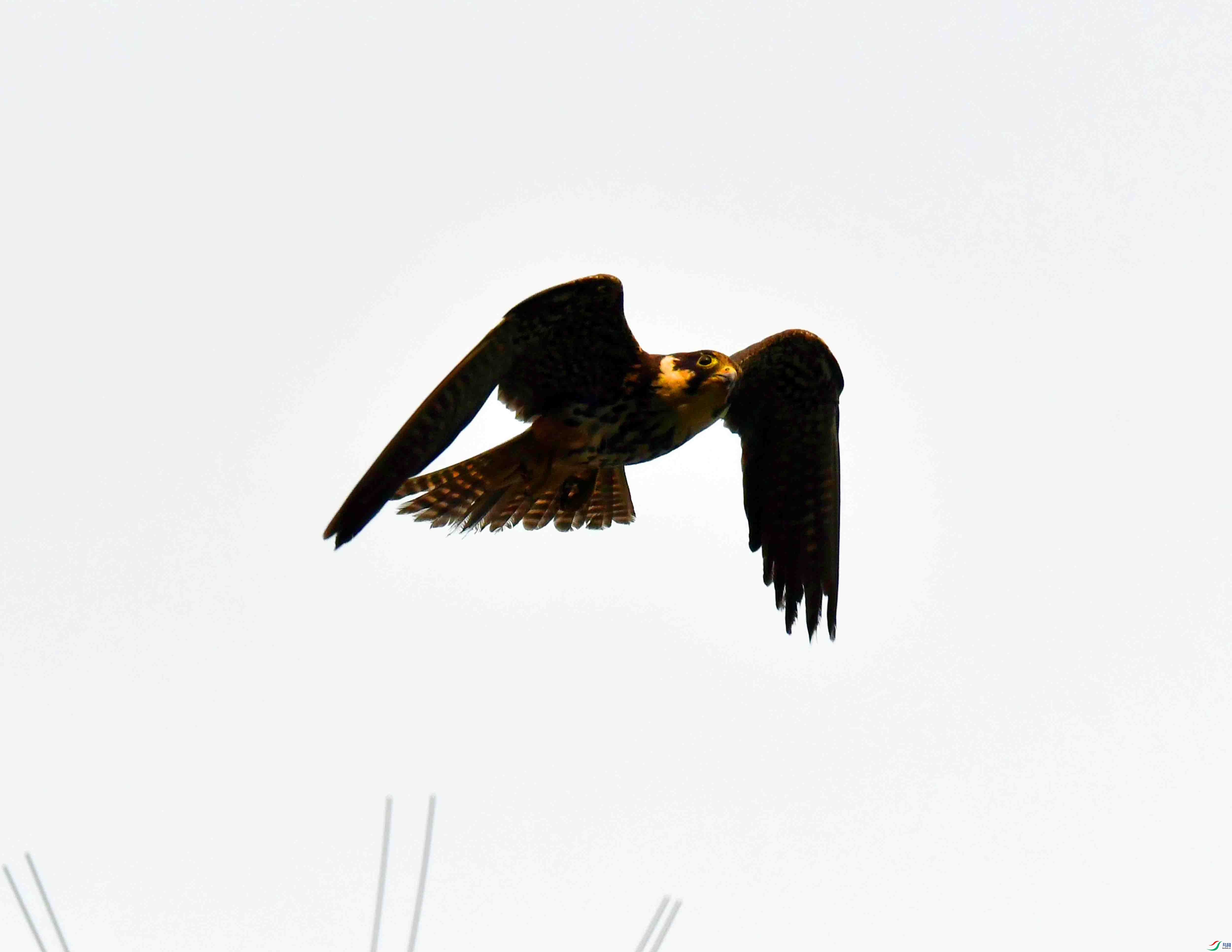 DSC_0890.JPG