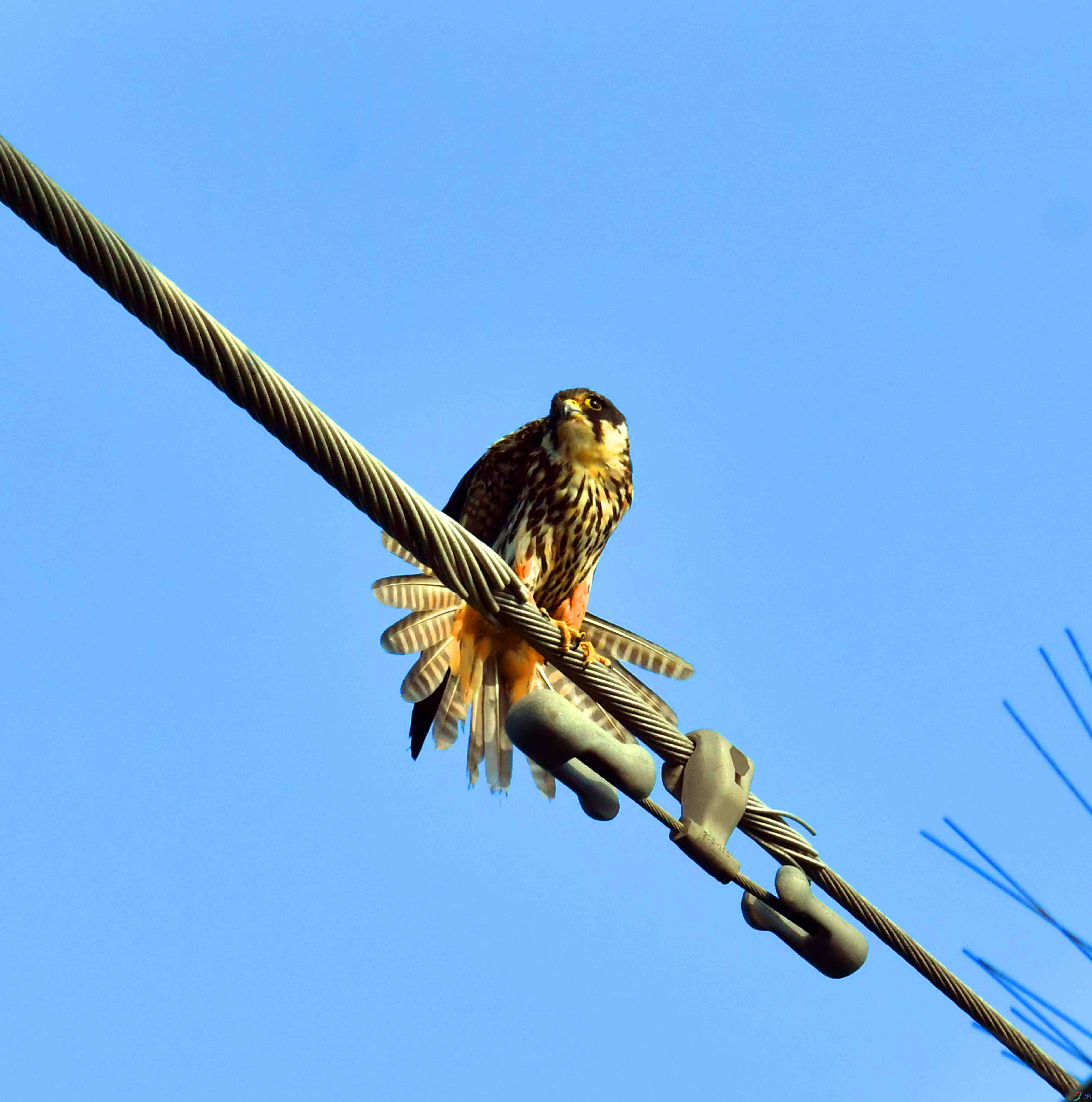 DSC_1206.JPG