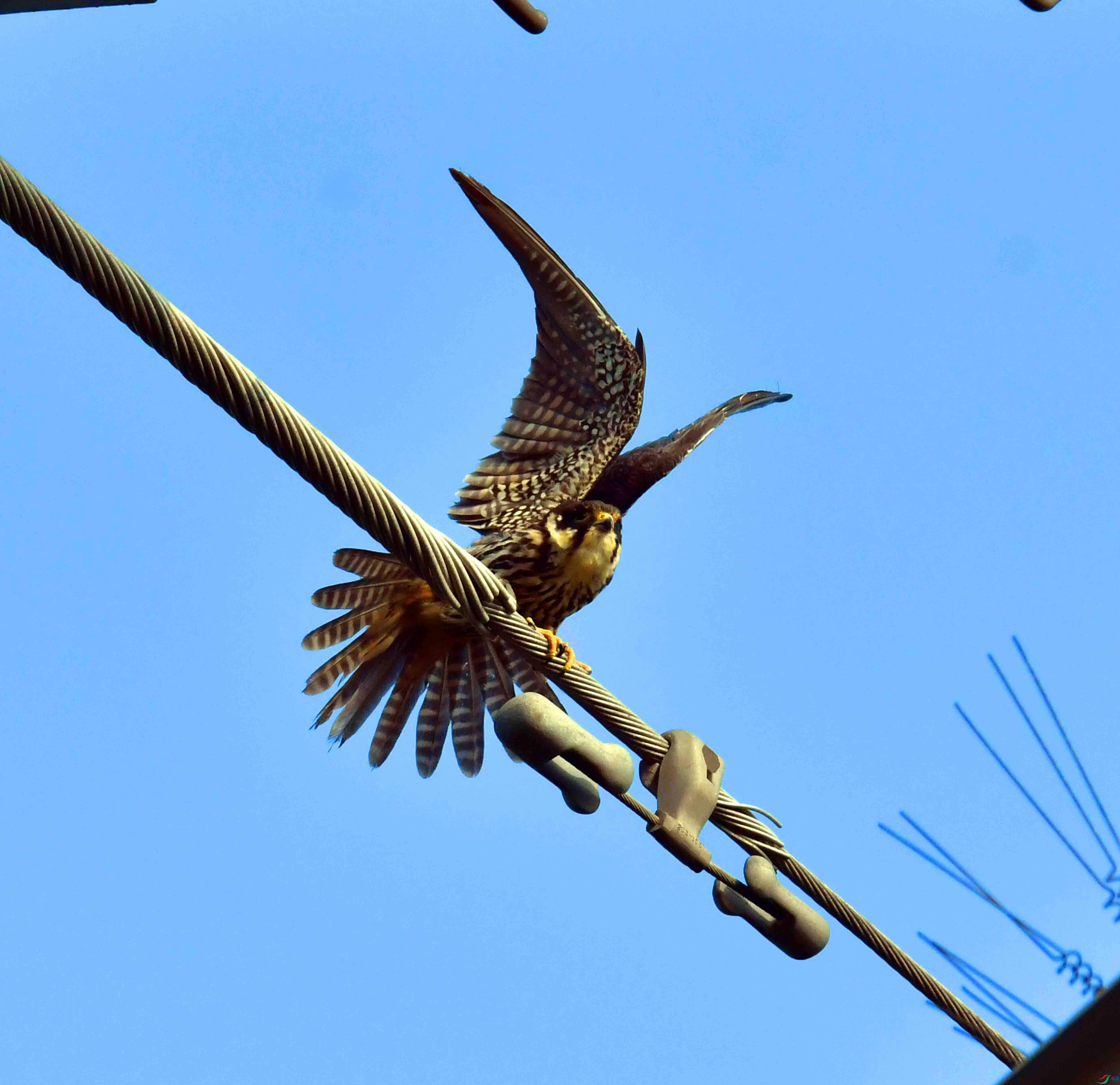 DSC_1212.JPG