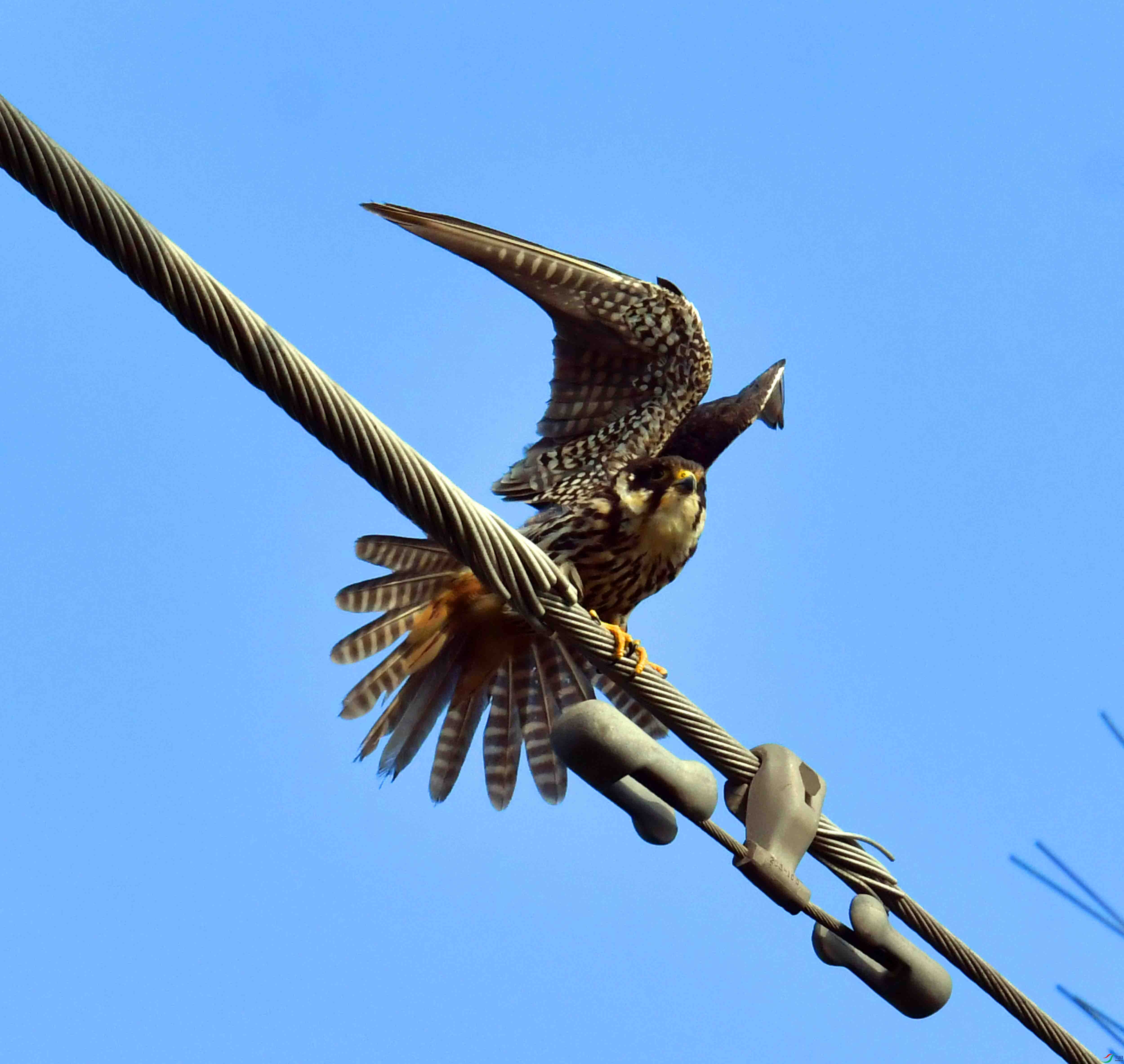 DSC_1211.JPG