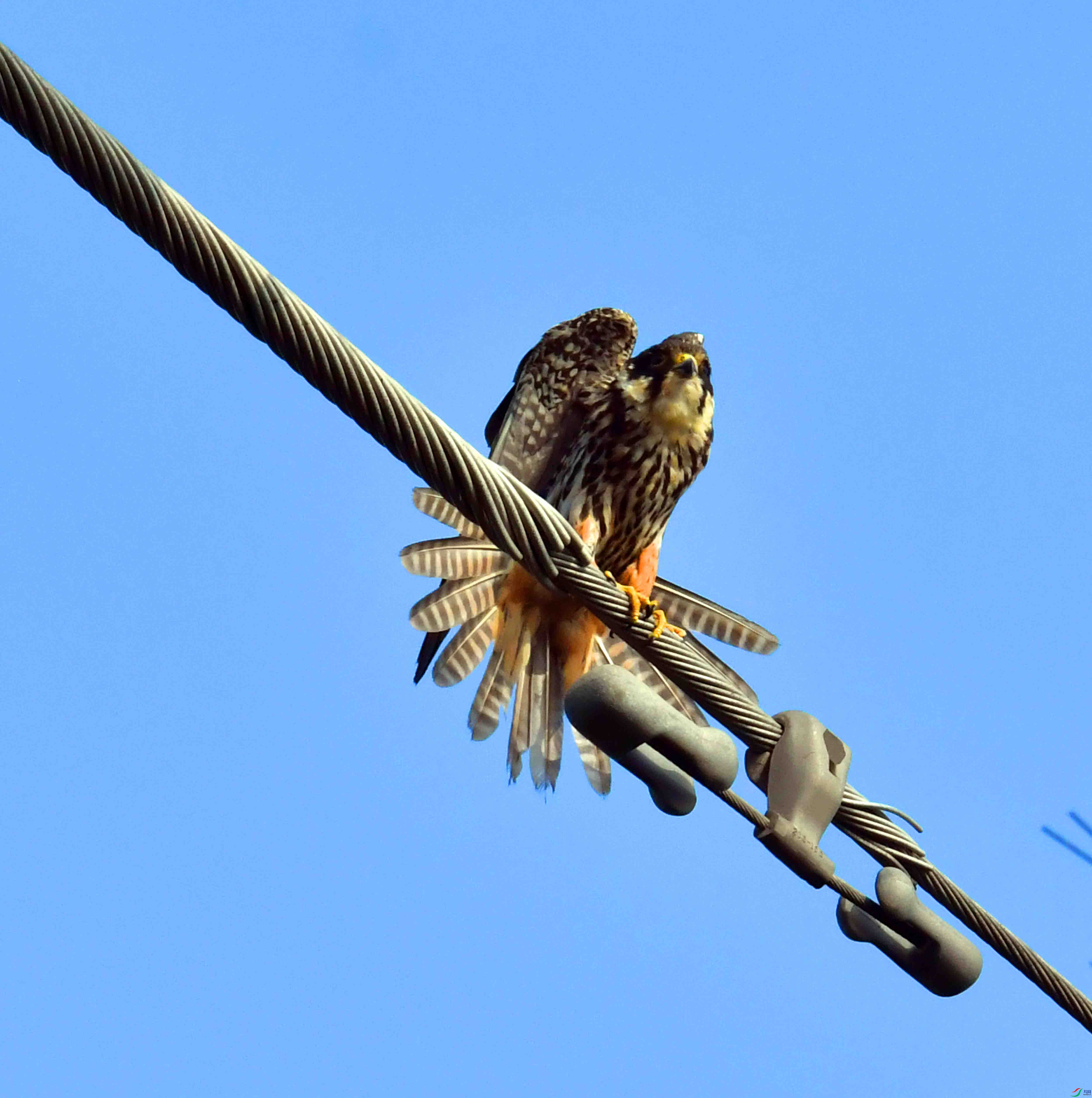 DSC_1207.JPG