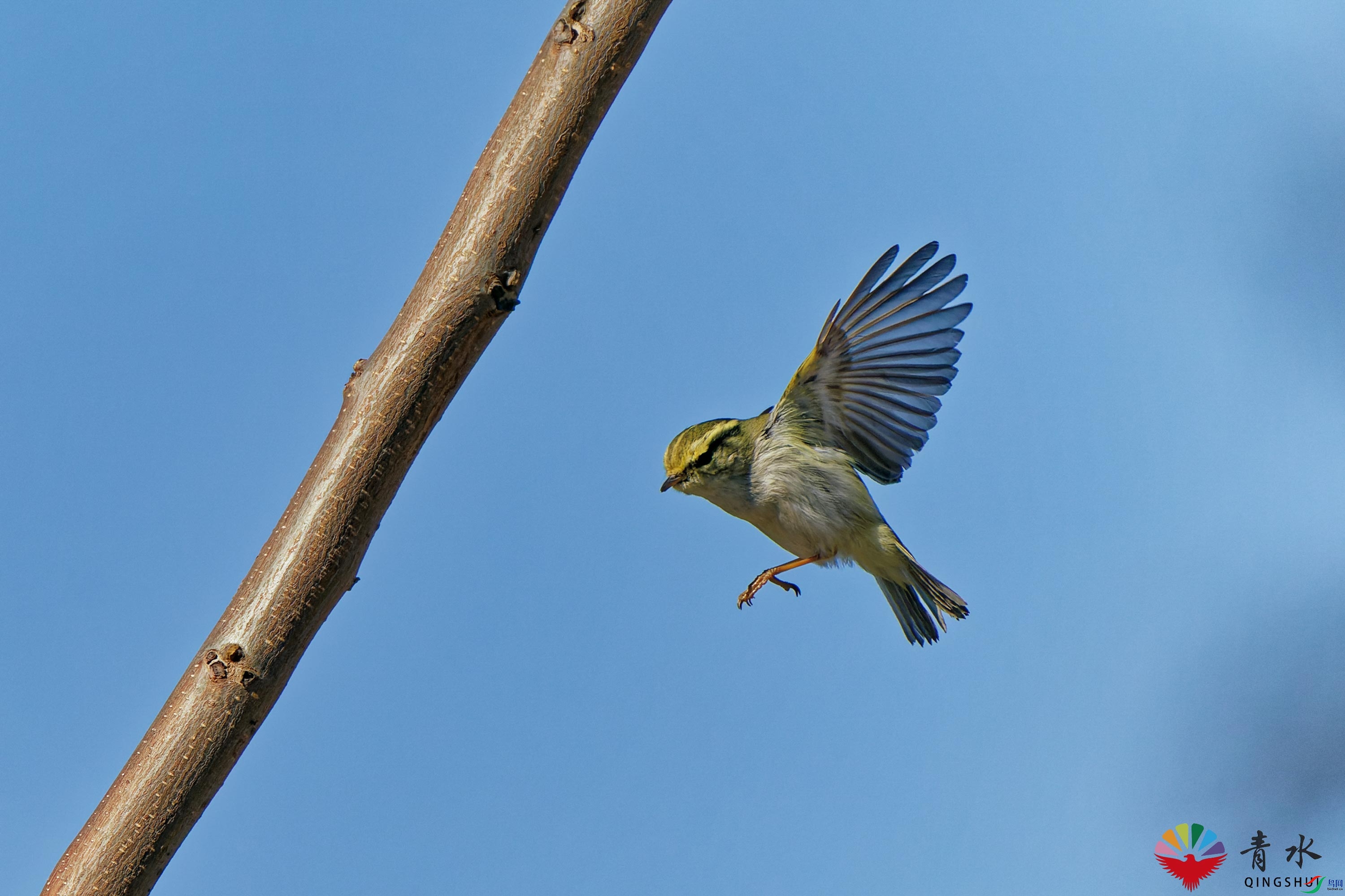 DSC05222_DxO.jpg