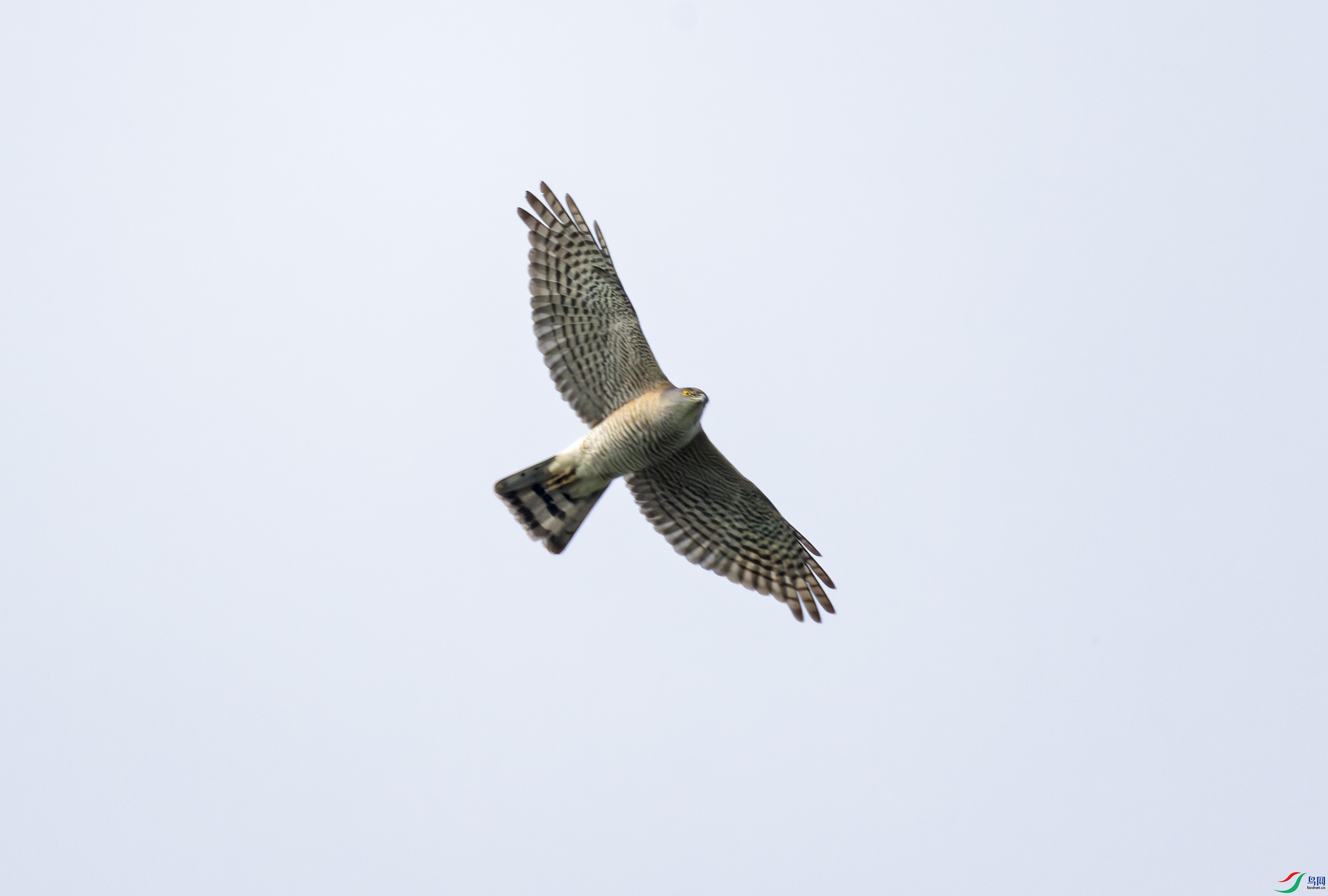 2I1A0496-����ǿ-NR ����.jpg