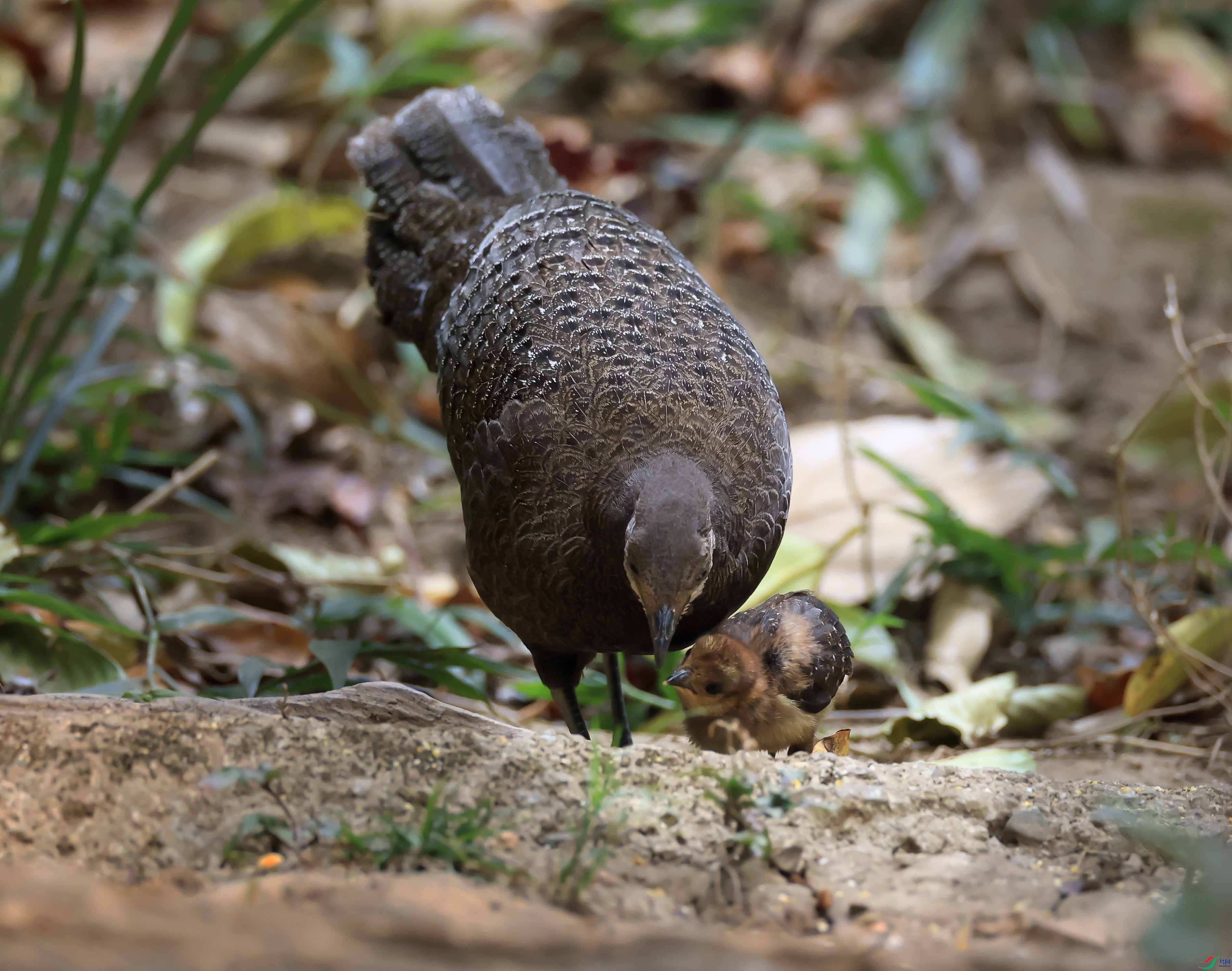 1-xt4L2A8030 ����.jpg