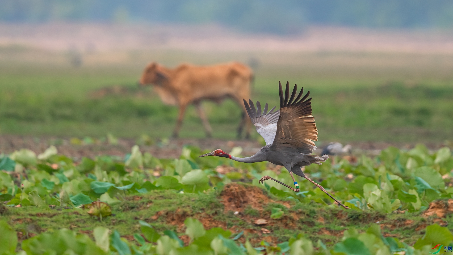 DSC_8566 ����01.jpg