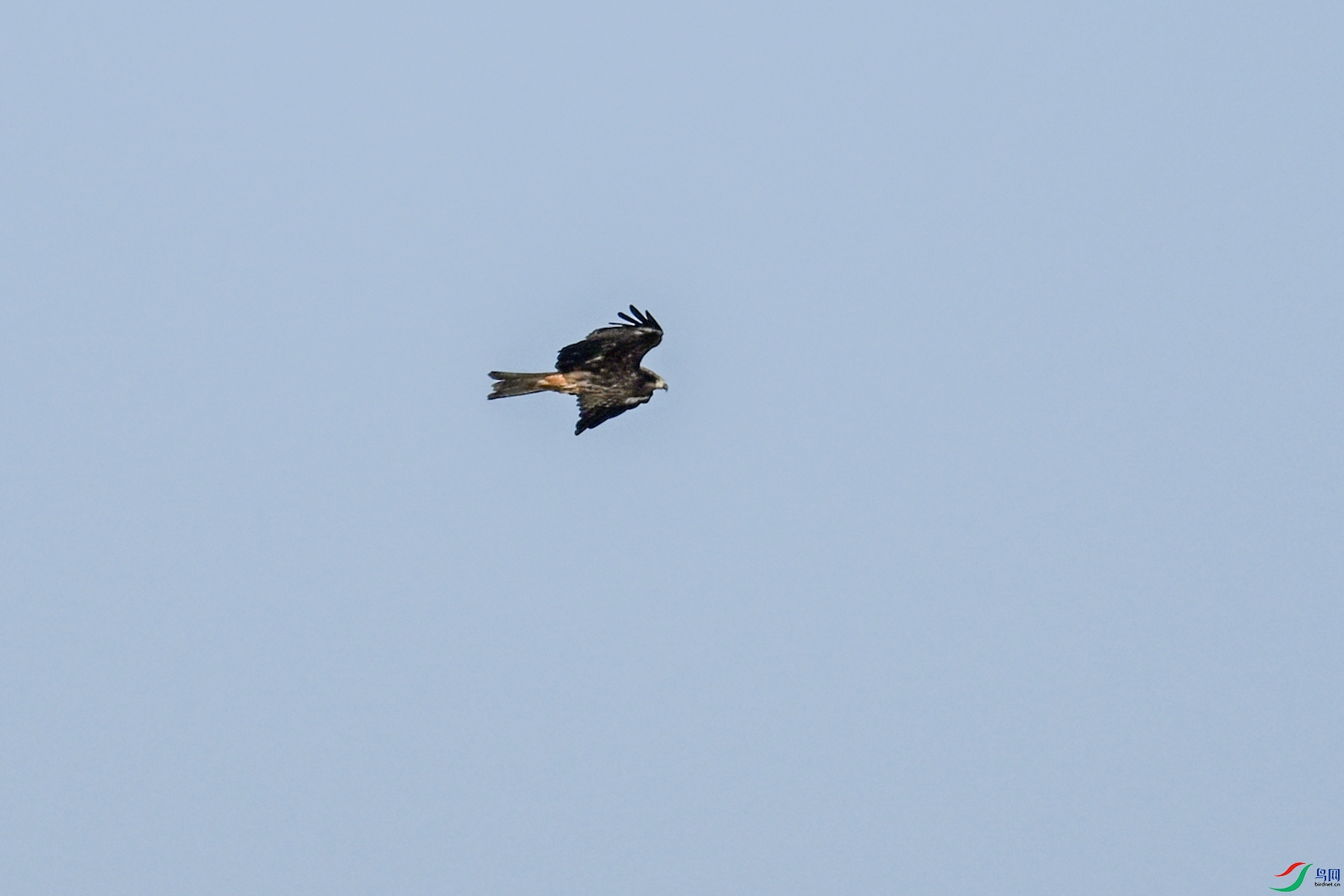 DSC_8462.JPG