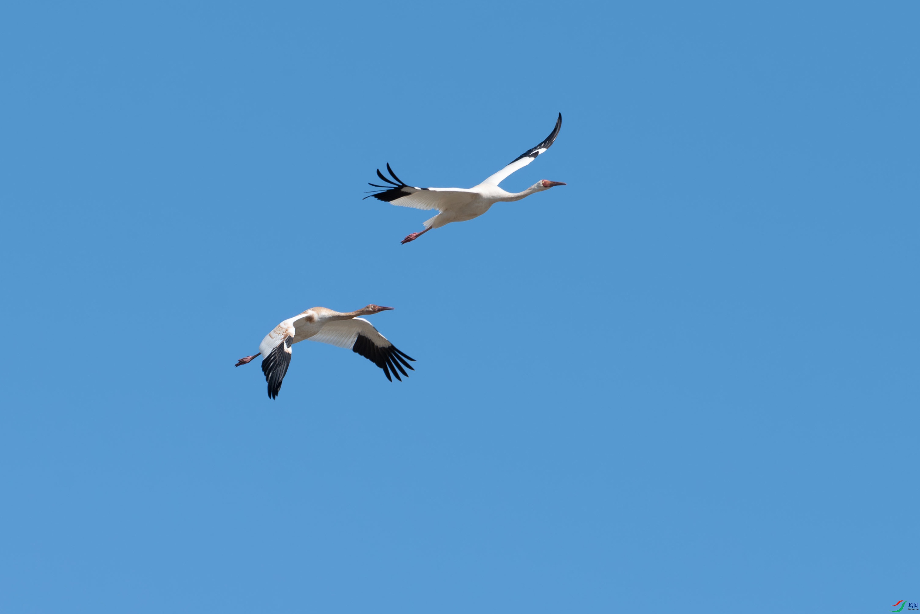 DSC_9263-NR.jpg