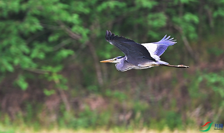 DSC_2090.JPG
