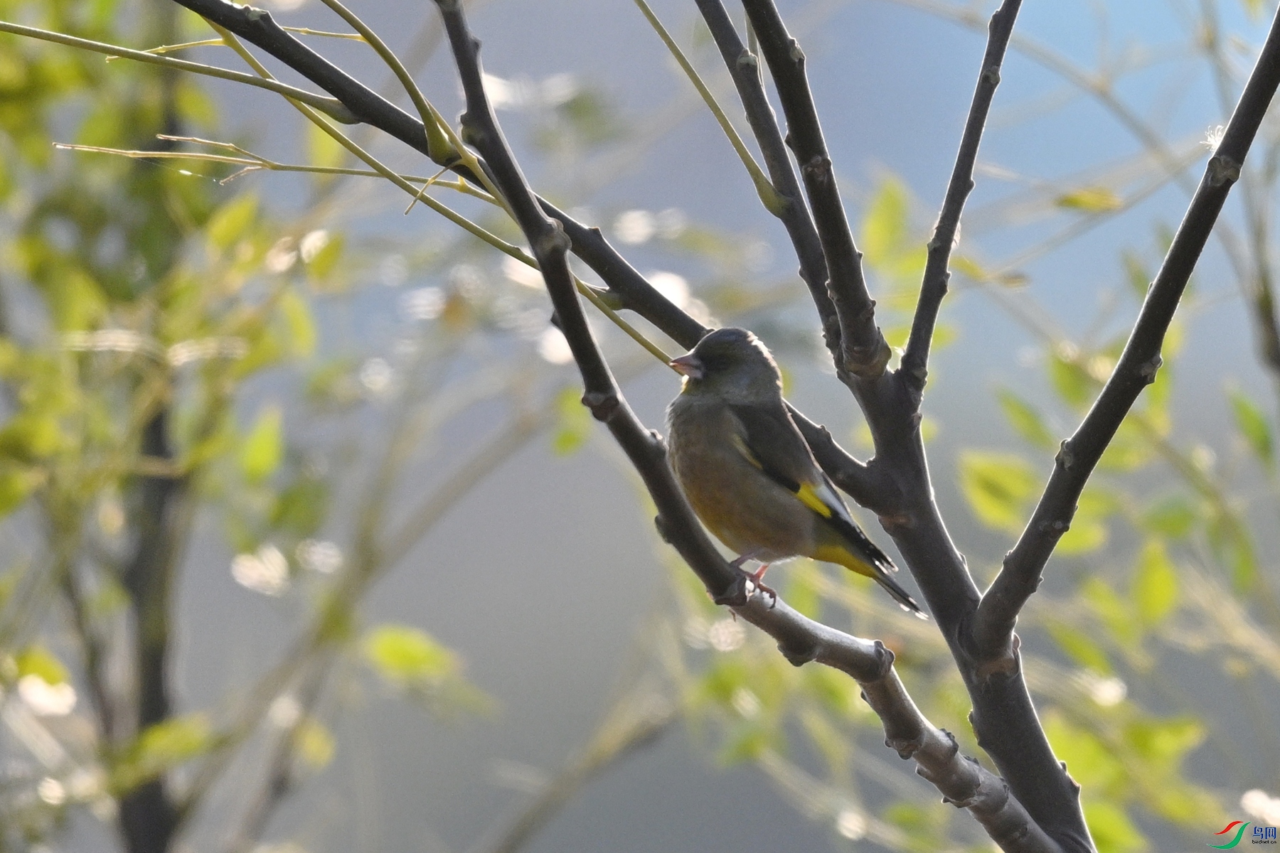 DSC_8716.JPG