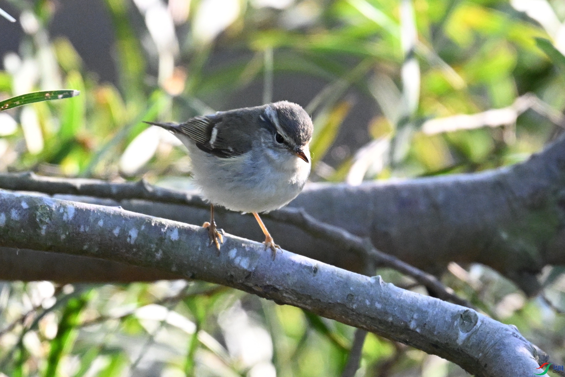 DSC_8722.JPG