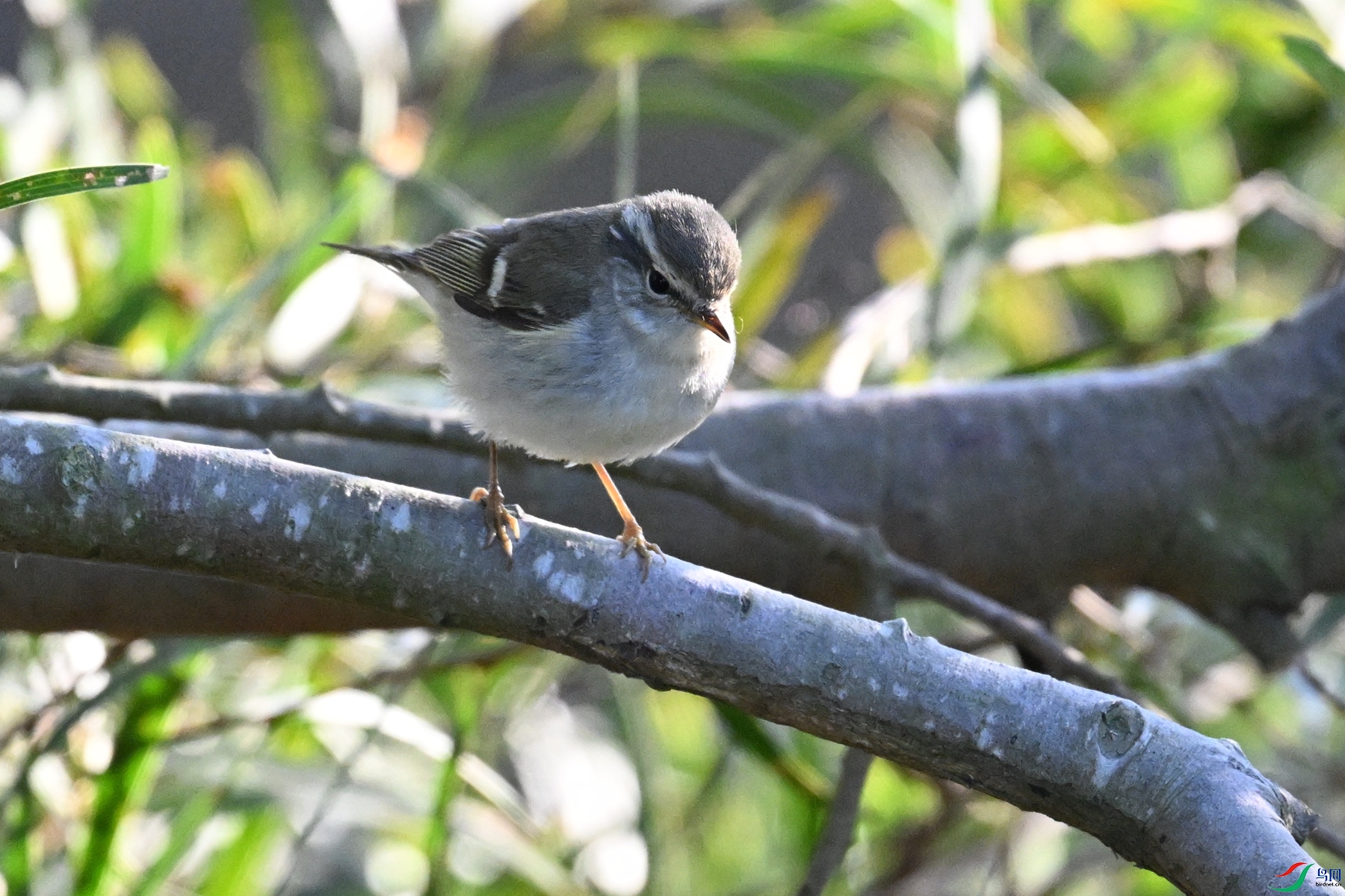 DSC_8723.JPG