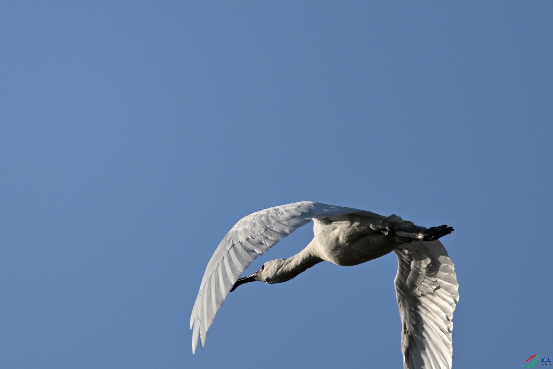DSC_8734.JPG