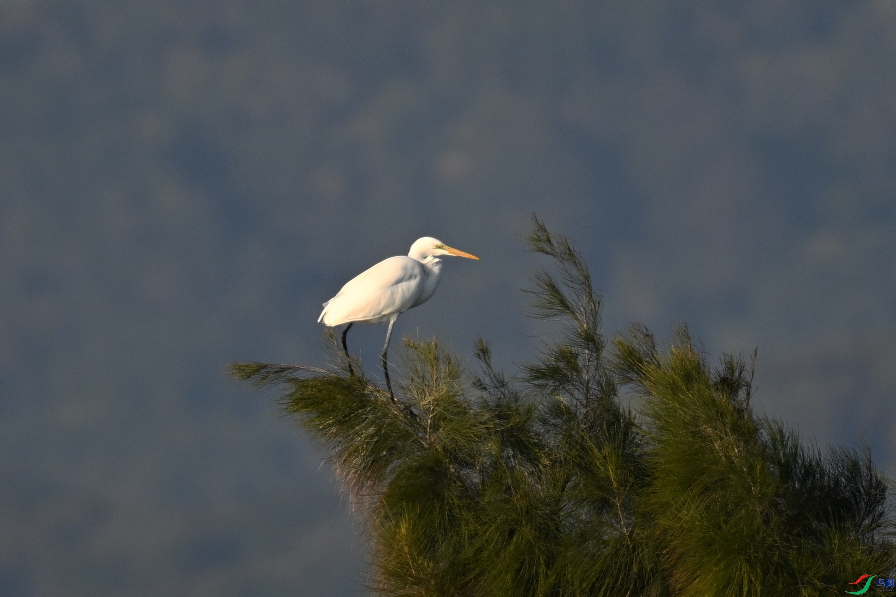 DSC_8737.JPG