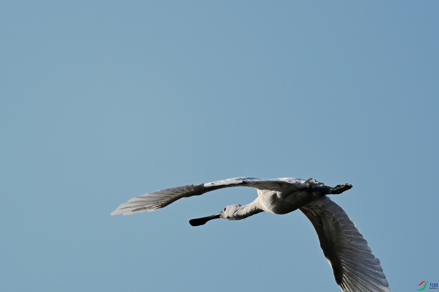 DSC_8733.JPG