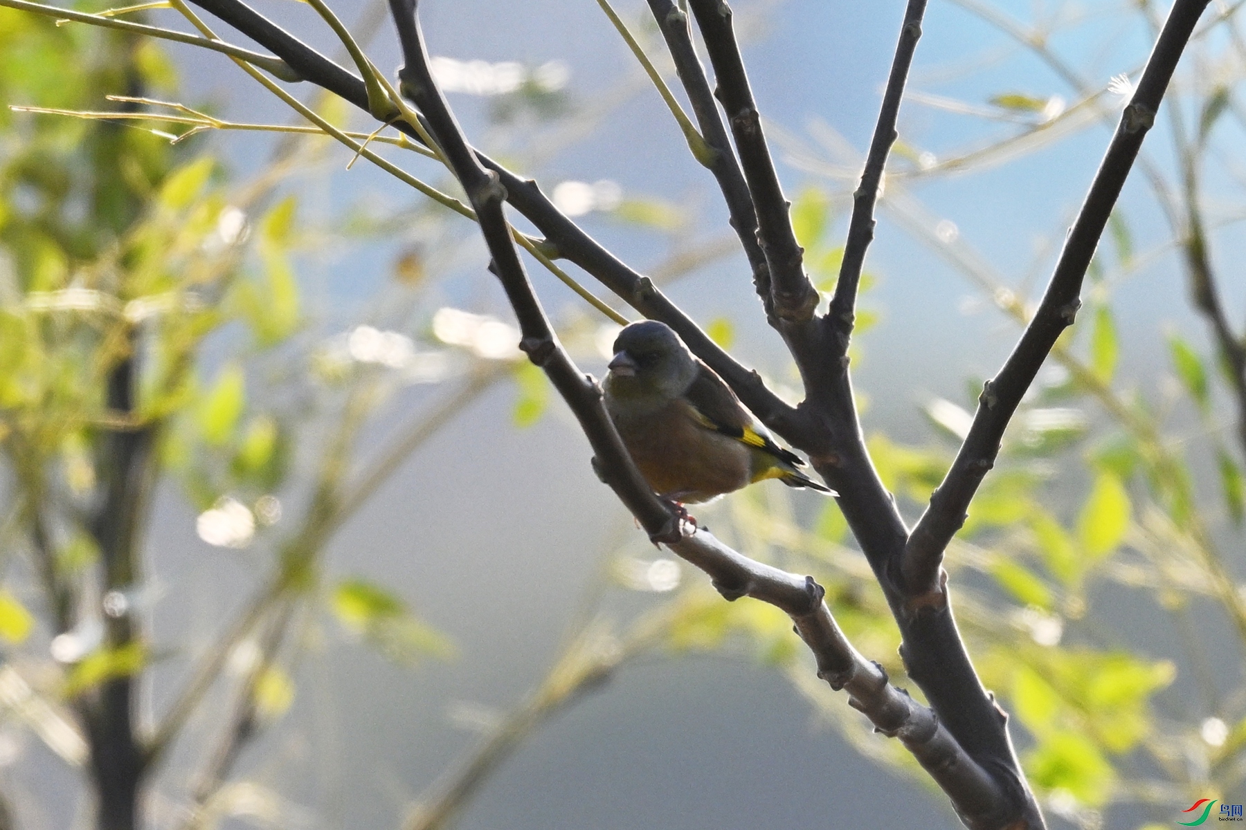 DSC_8720.JPG