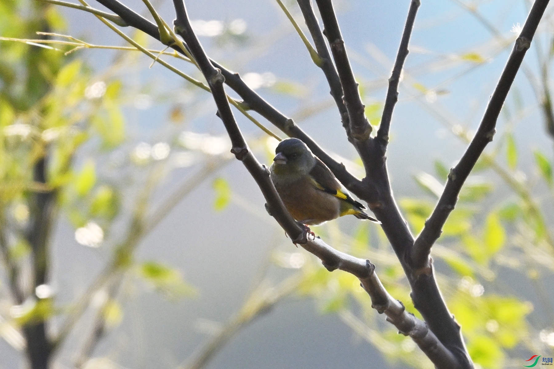 DSC_8721.JPG