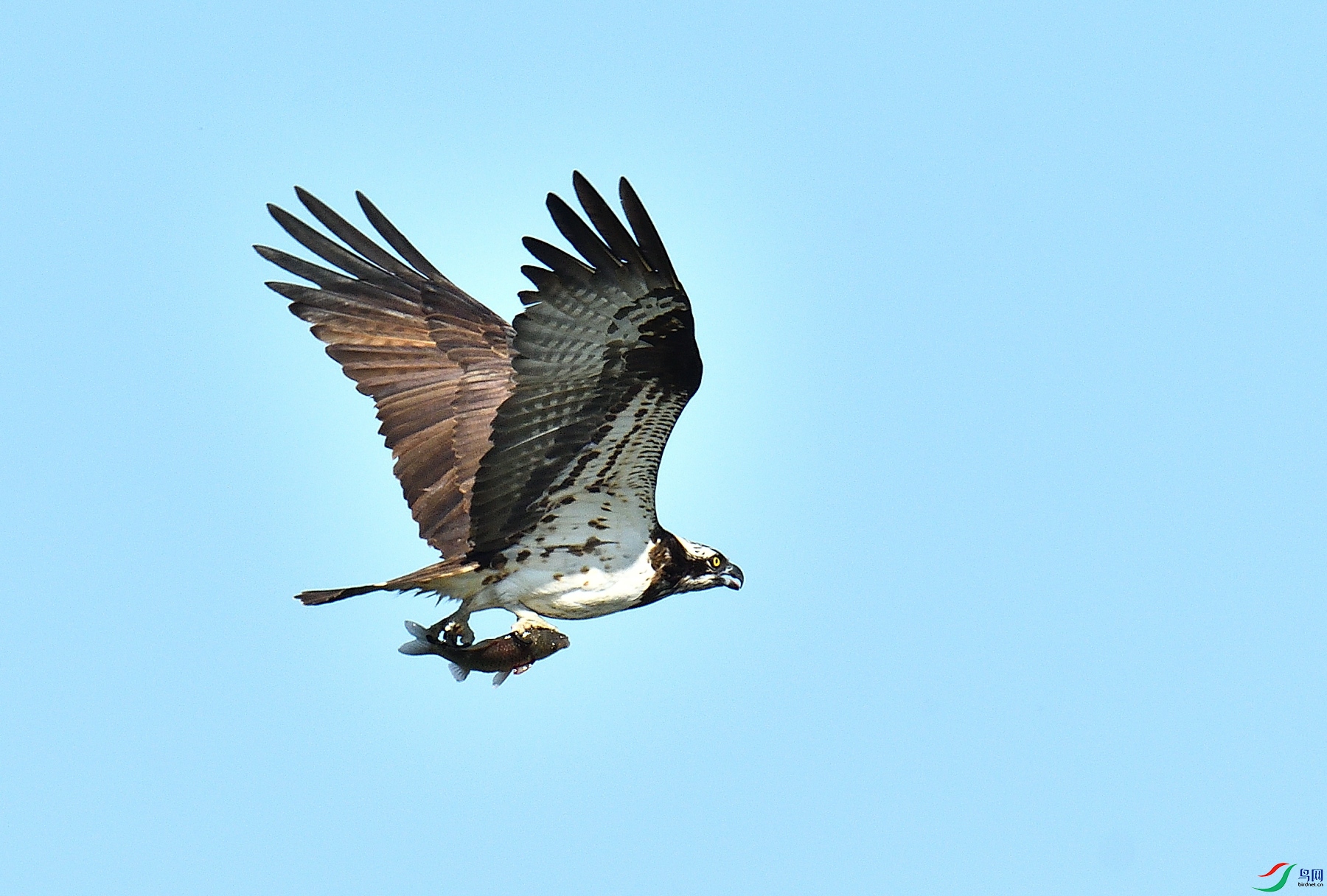 DSC_8562.JPG