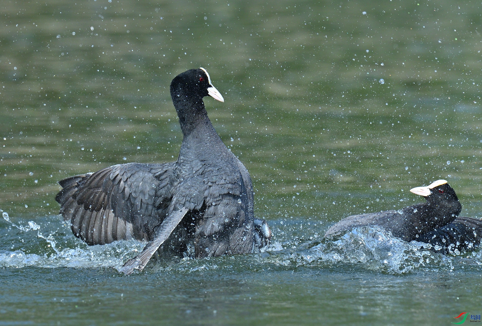 DSC_6569.JPG