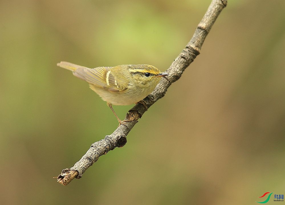 D72T7108.JPG