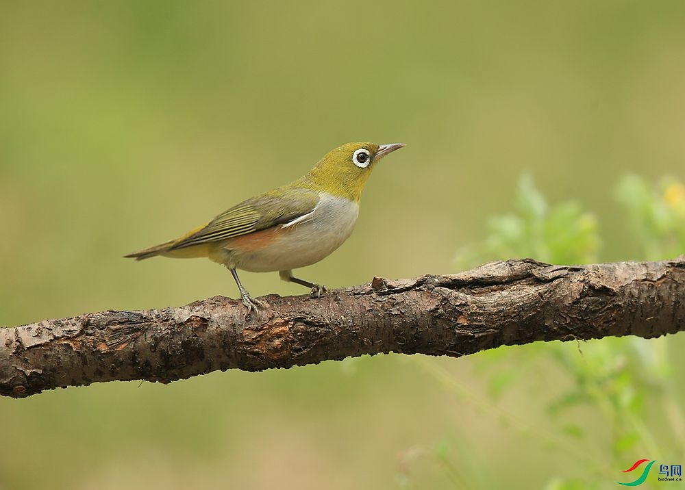D72T7557.JPG