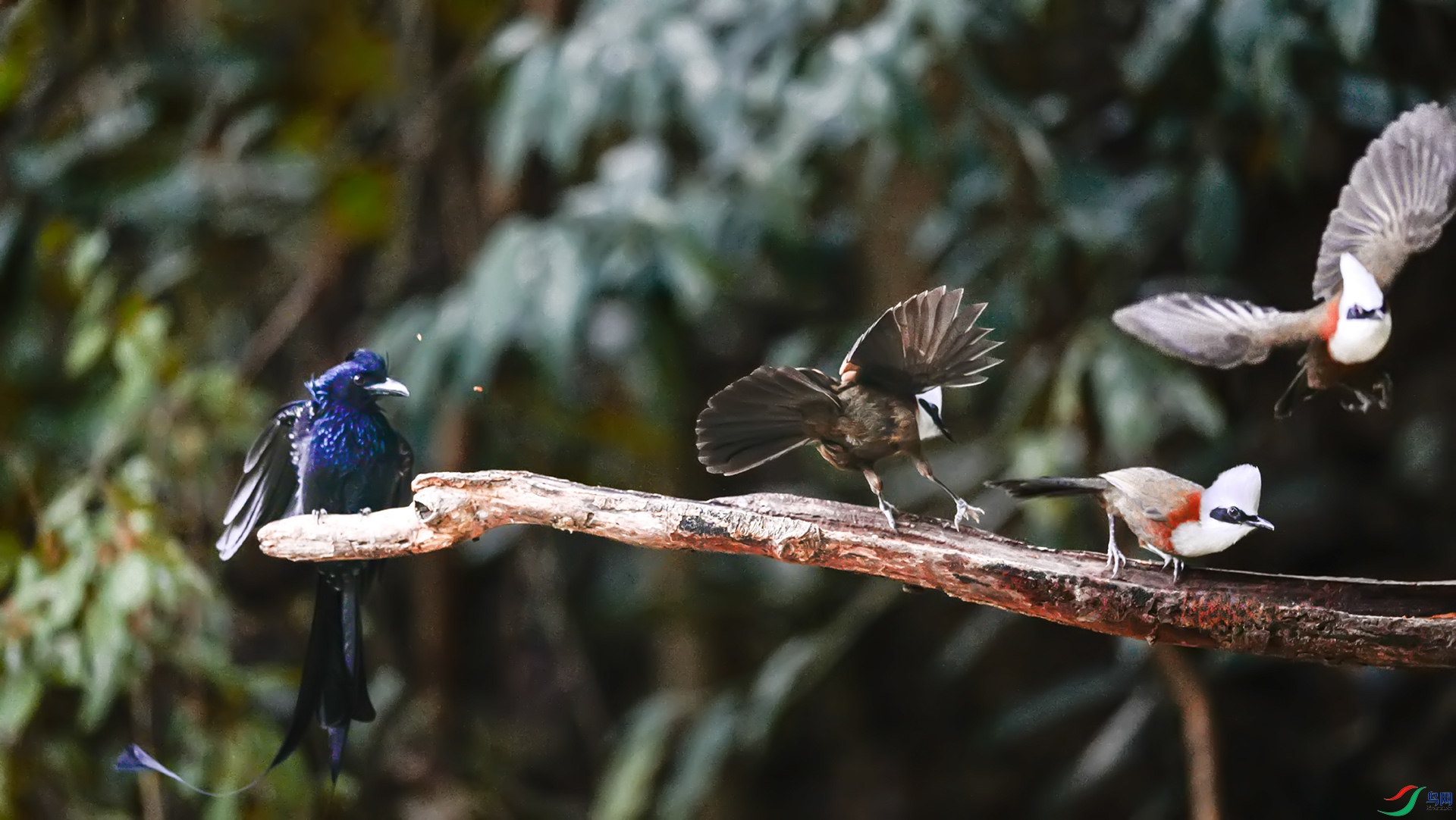 �������� �����ӿ�