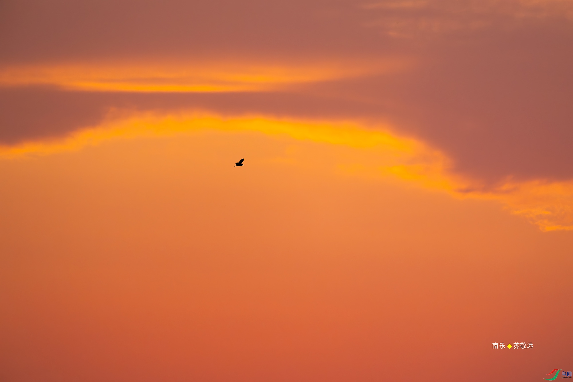 20250428-_DSC1285С.jpg