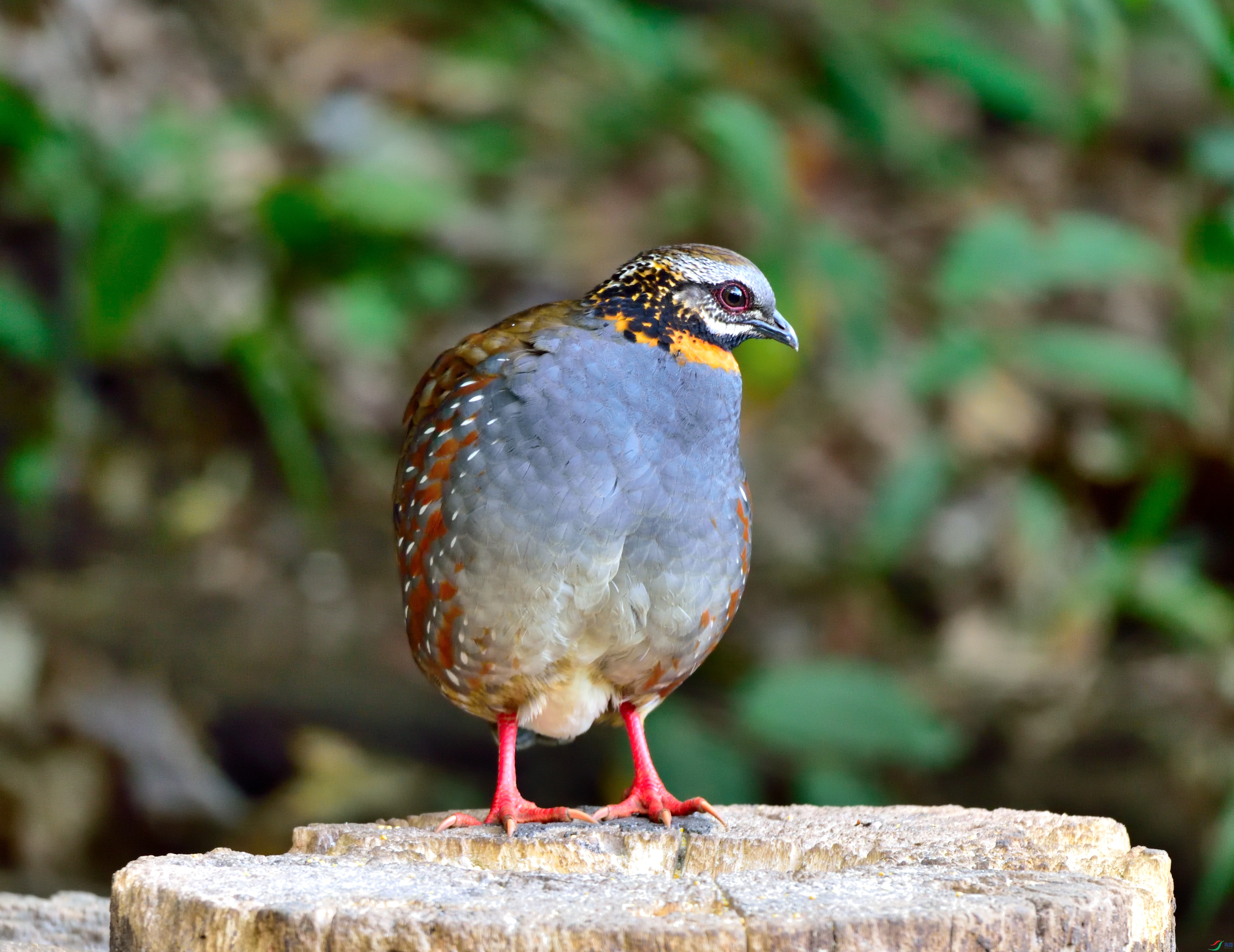 DSC_7653.JPG