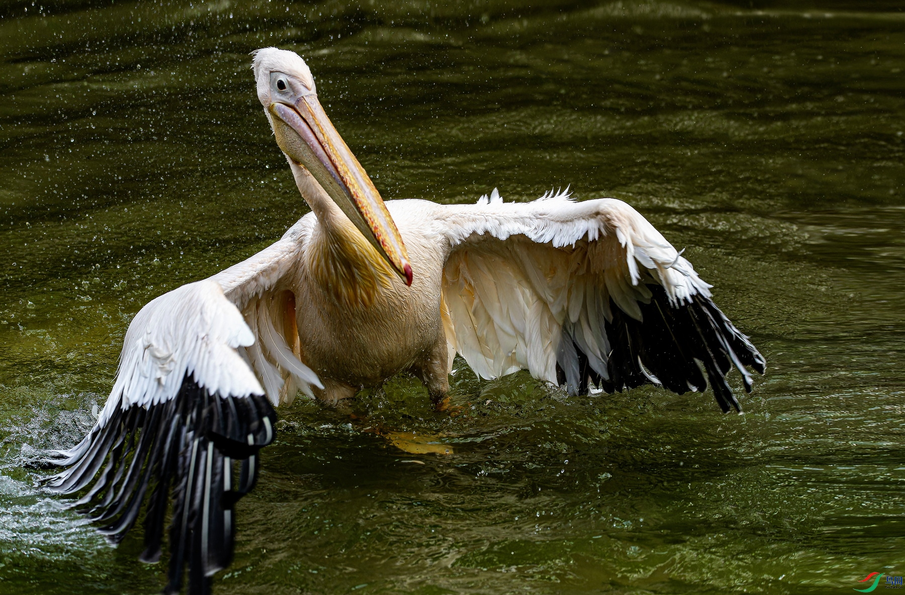 ����ɽ���� (124)--01.jpg