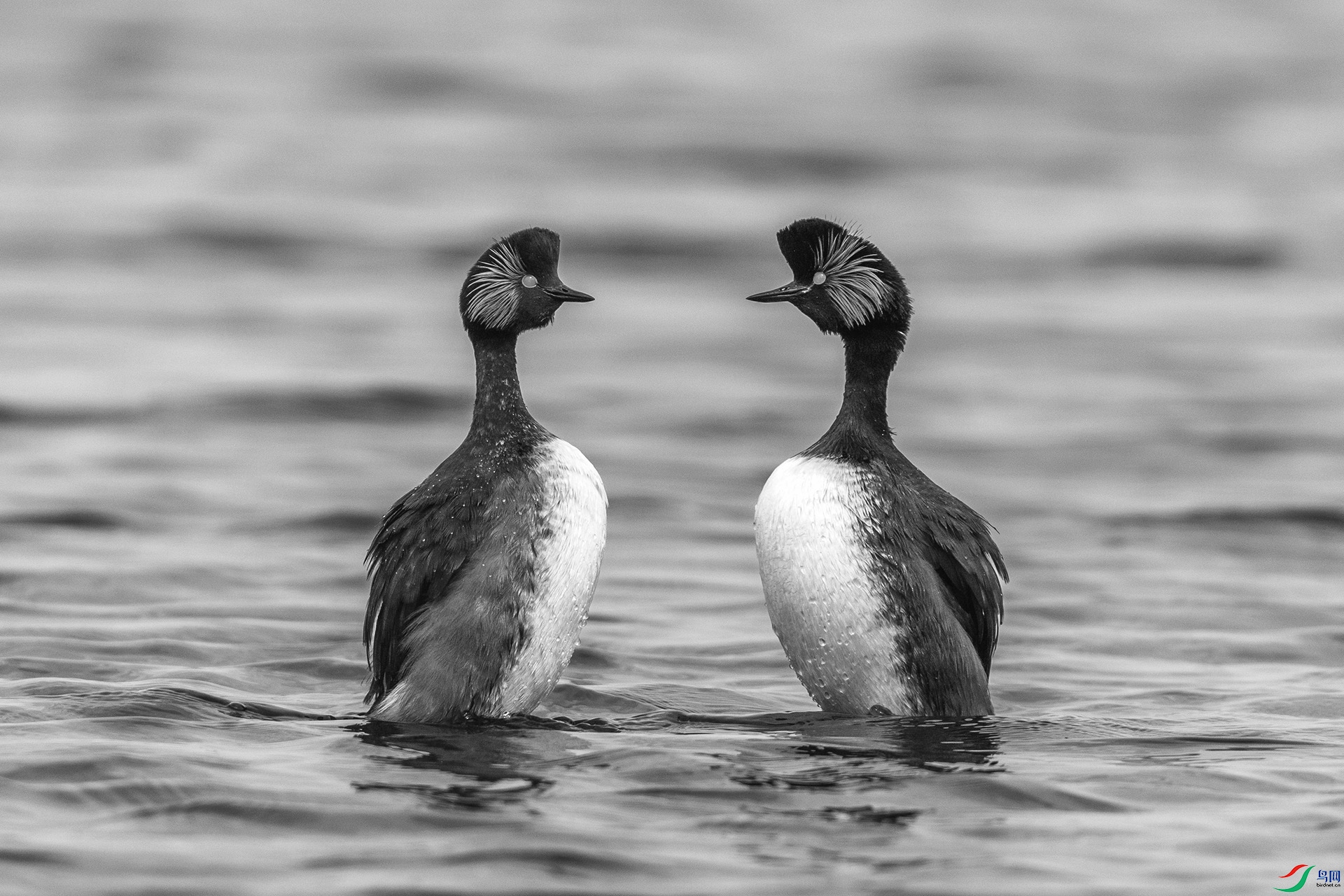 227A8202 ����.jpg