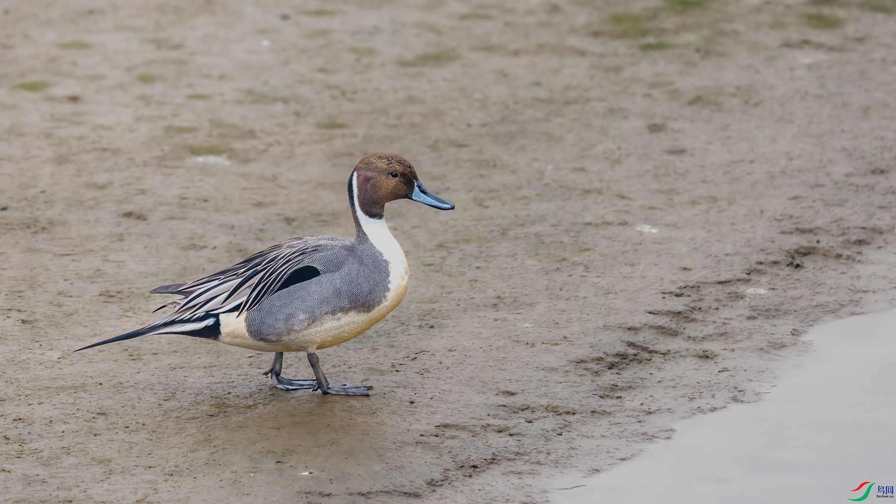 _70A5362-1.jpg
