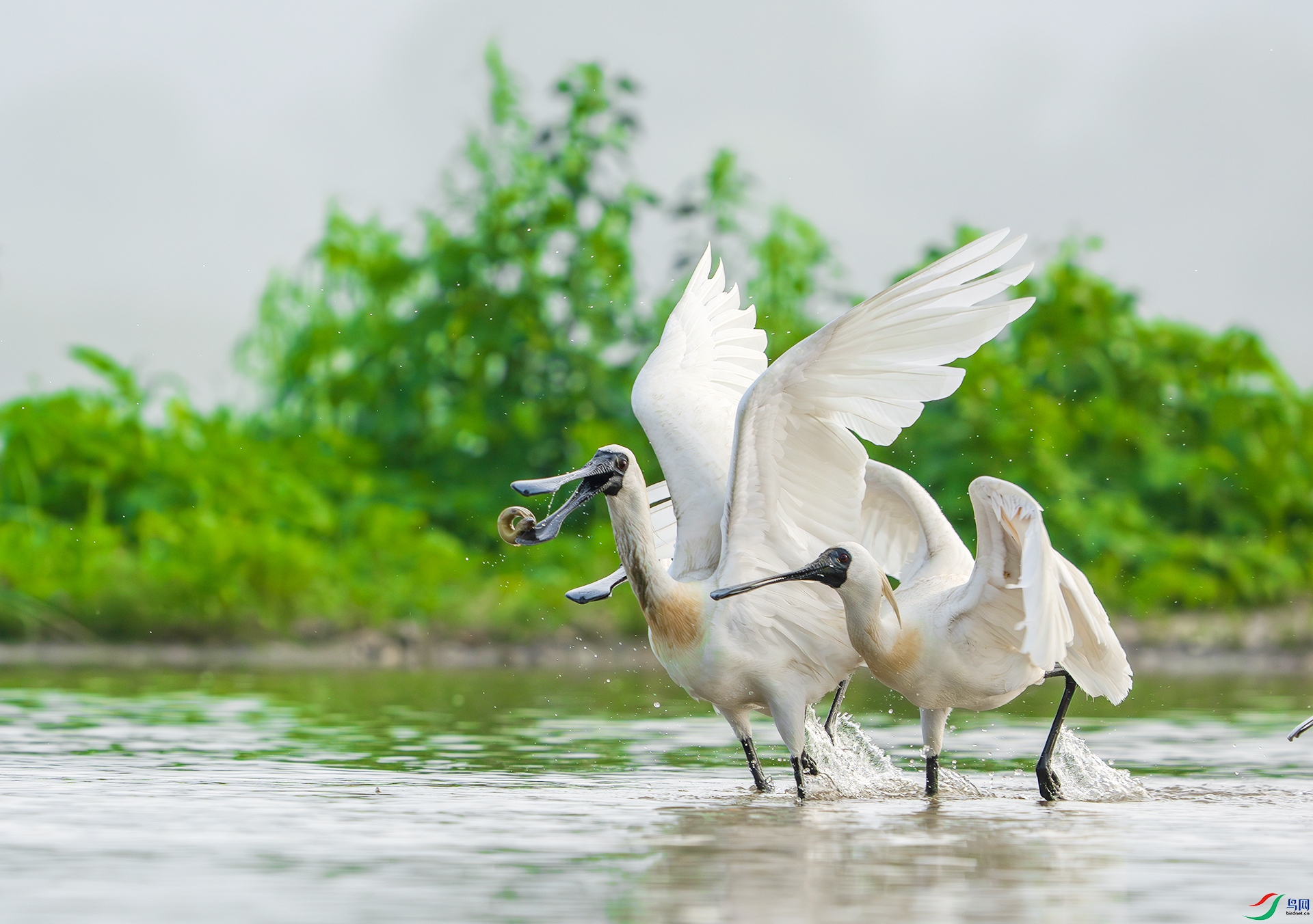 DSC08632-����ǿ-NR ����.jpg