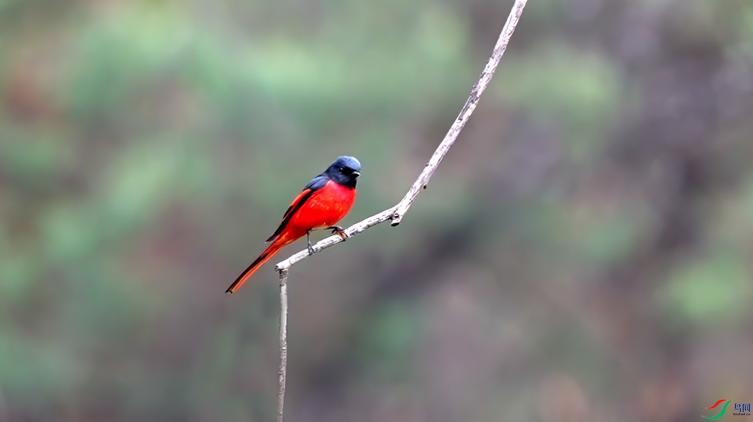 ΢��ͼƬ_20250428104405 ����.jpg