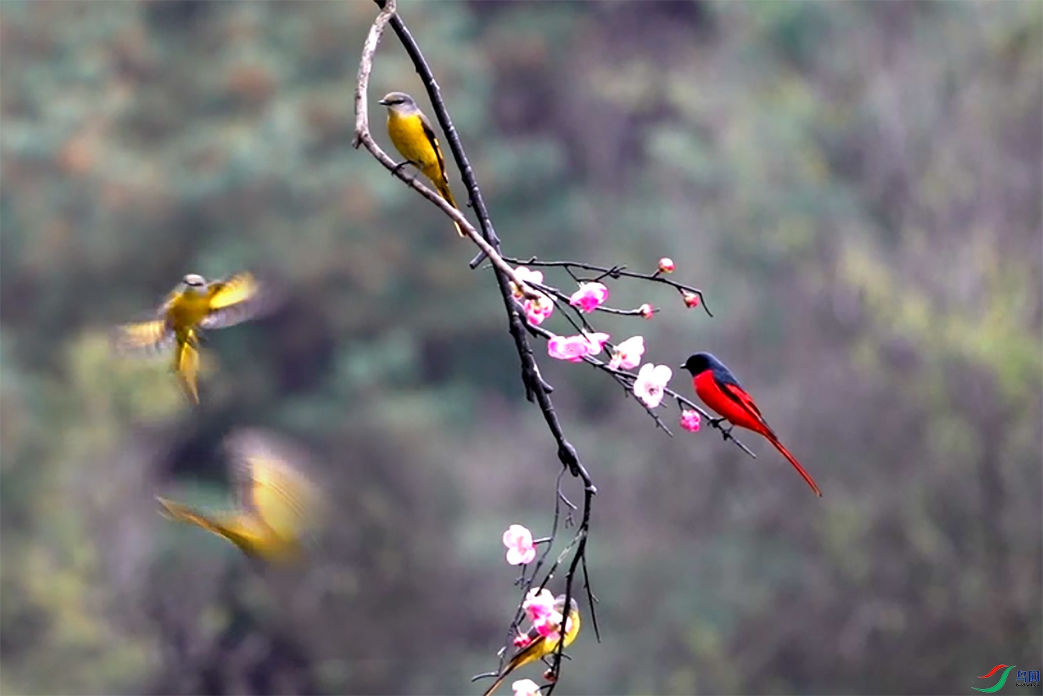 ΢��ͼƬ_20250428092455 ����.jpg