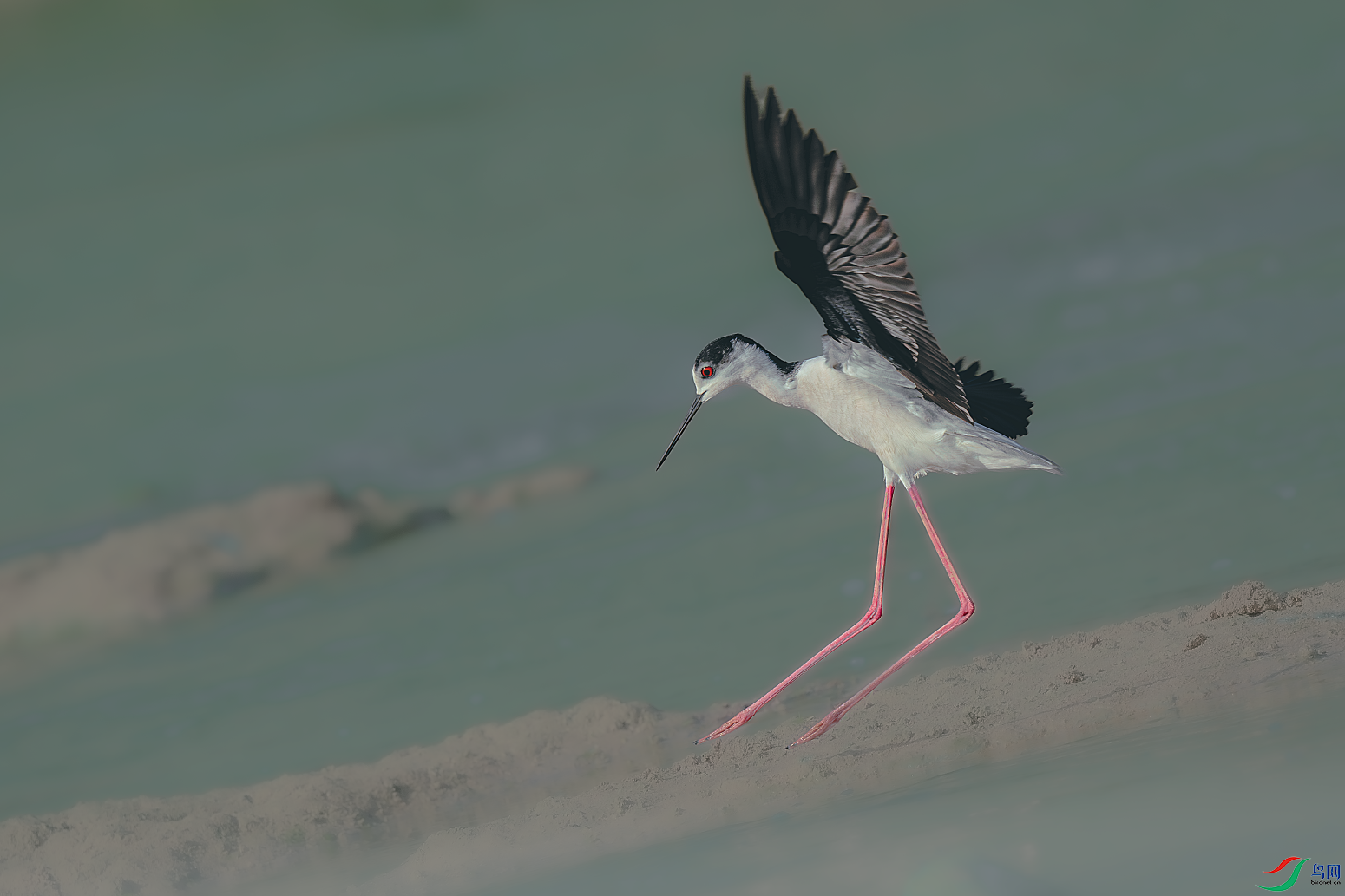 _DSC9625-����ǿ-NR.PNG