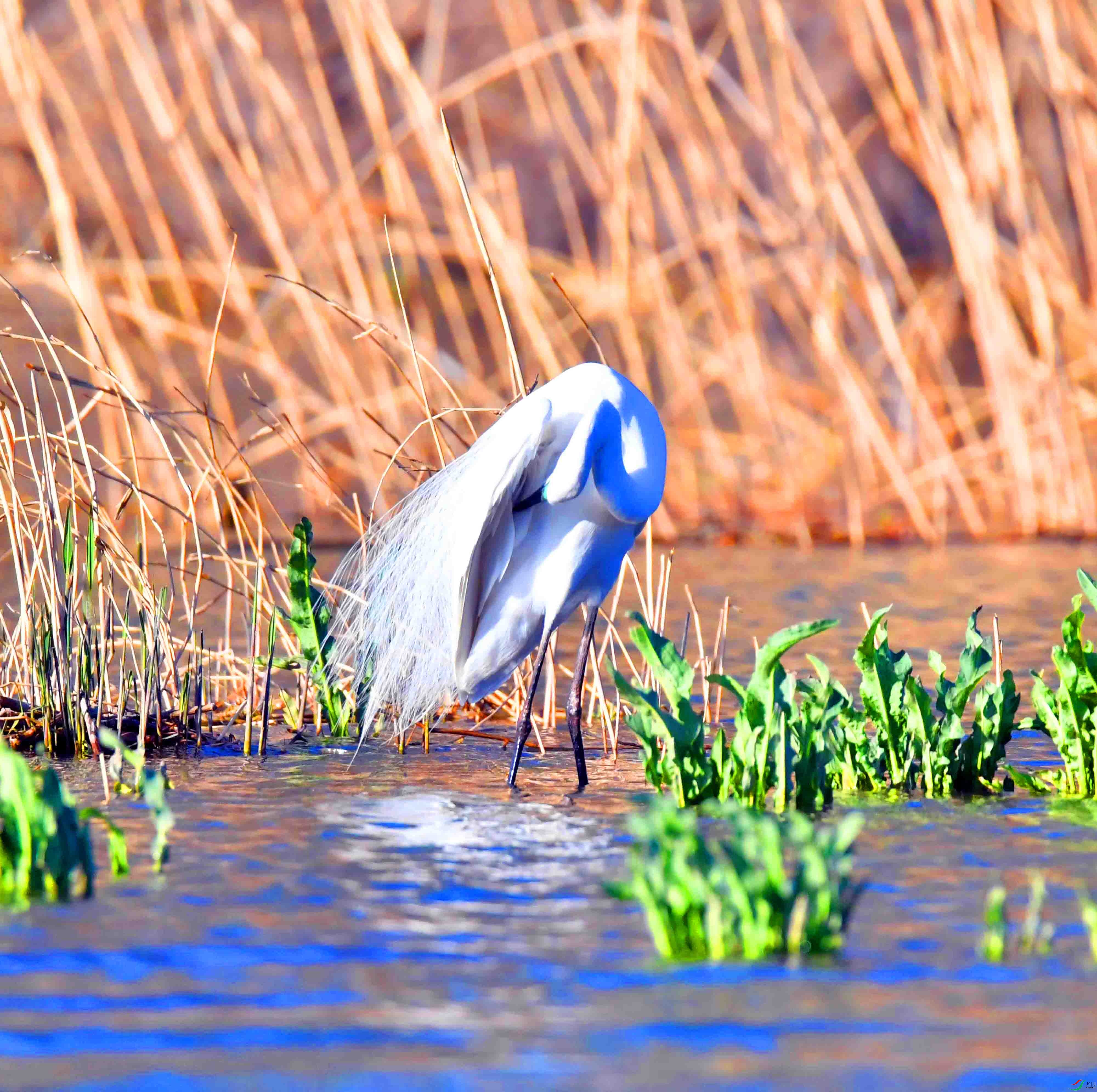 DSC_0327.JPG
