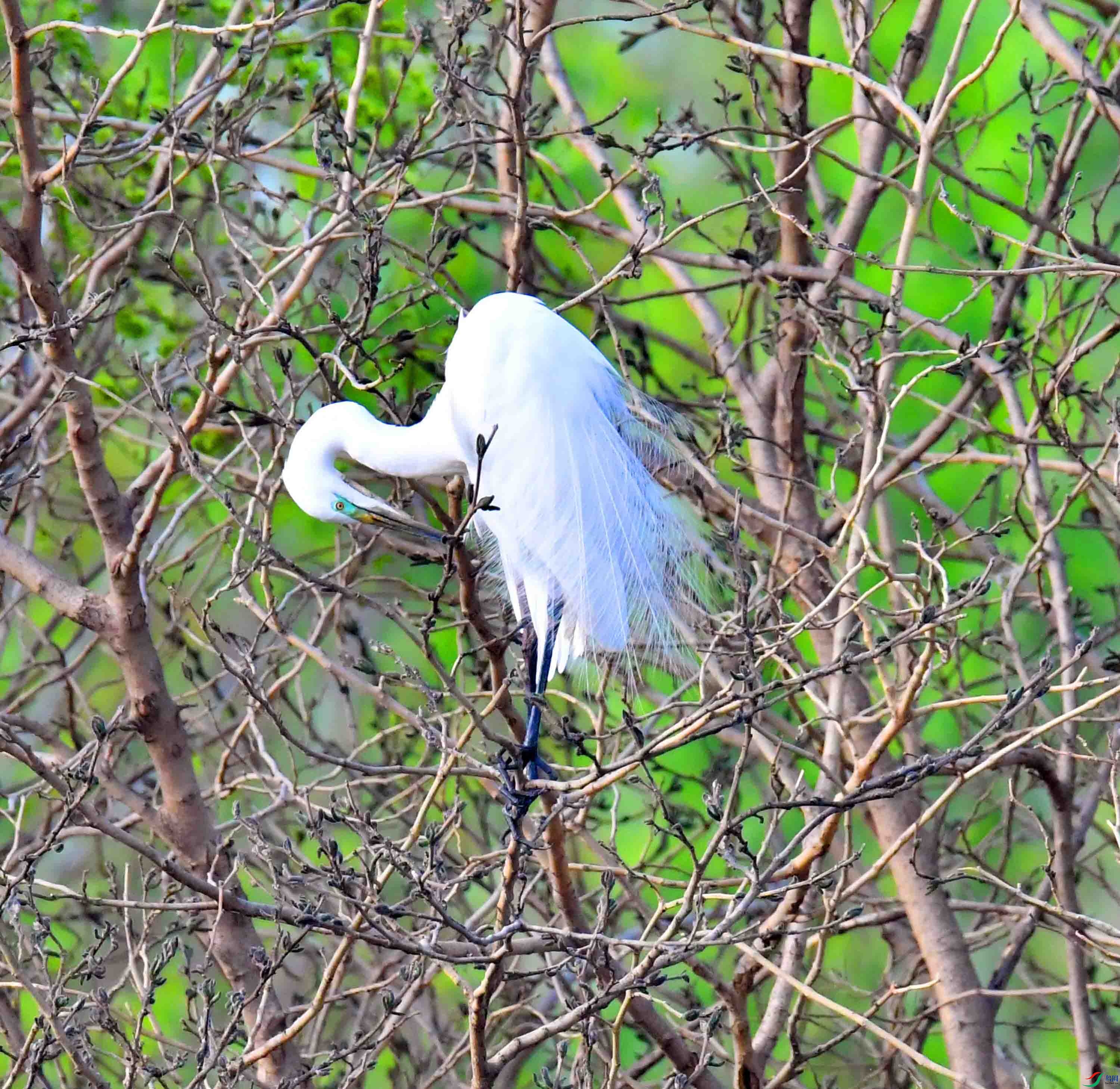 DSC_1243.JPG