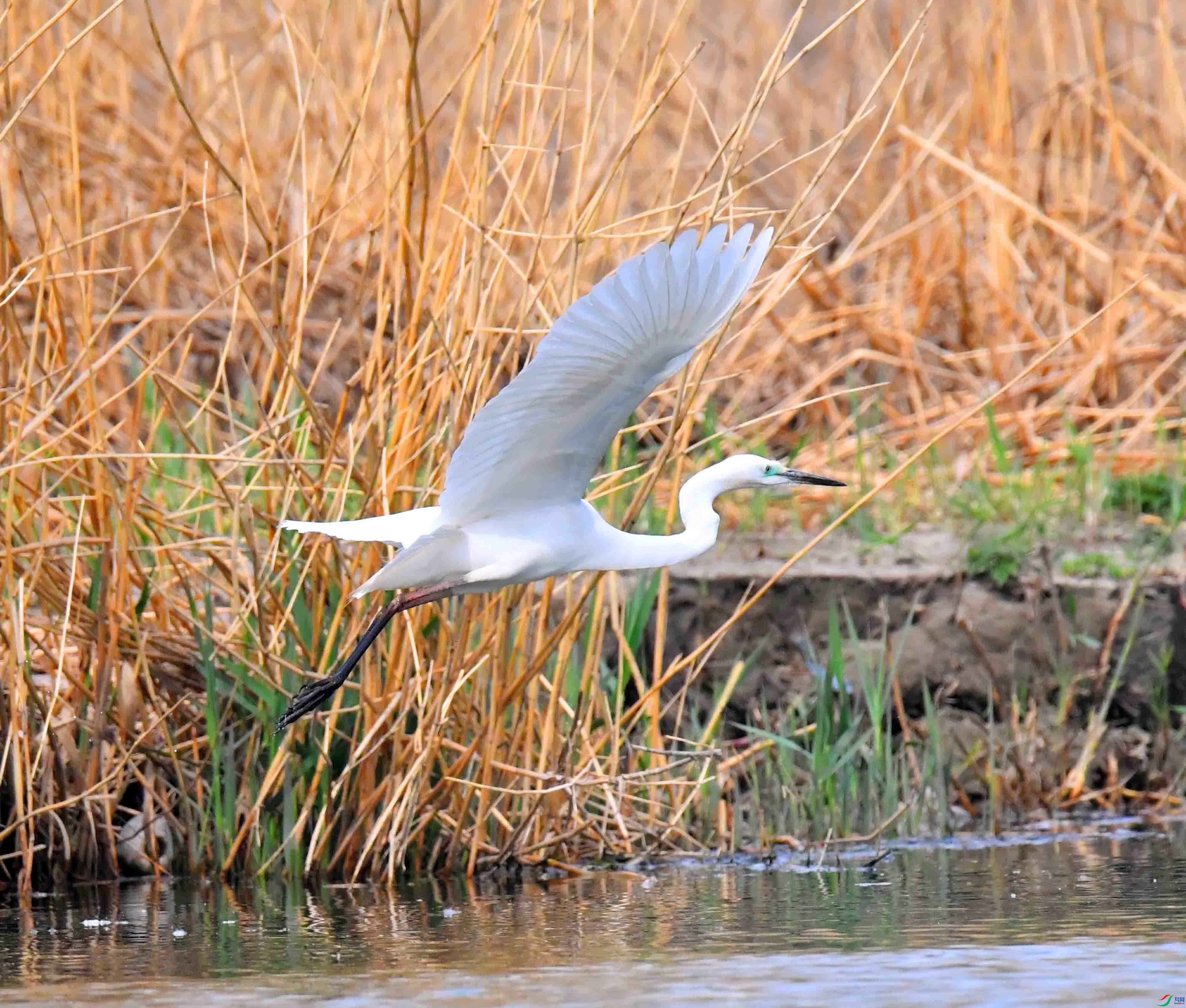 DSC_1330.JPG