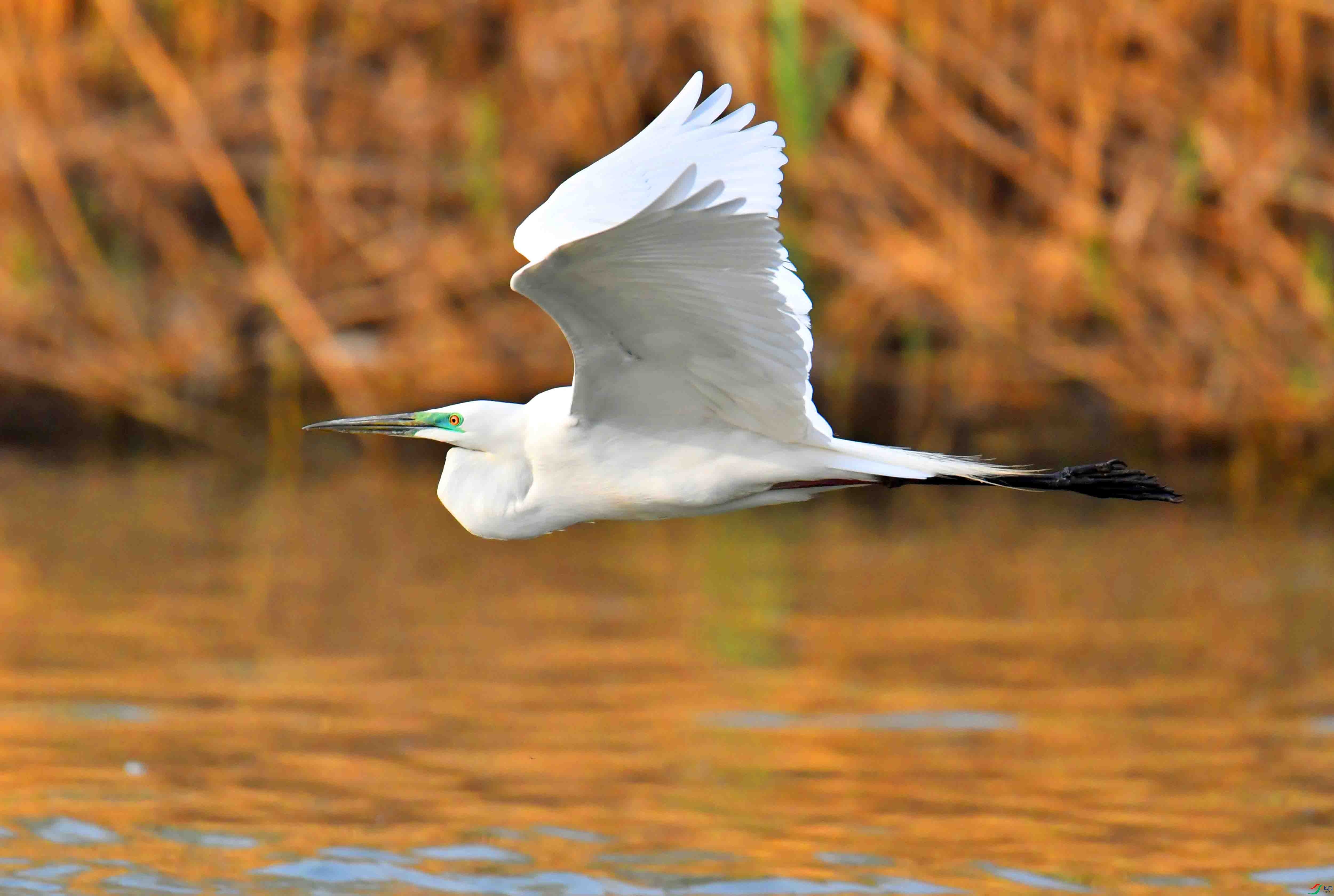 DSC_2084.JPG