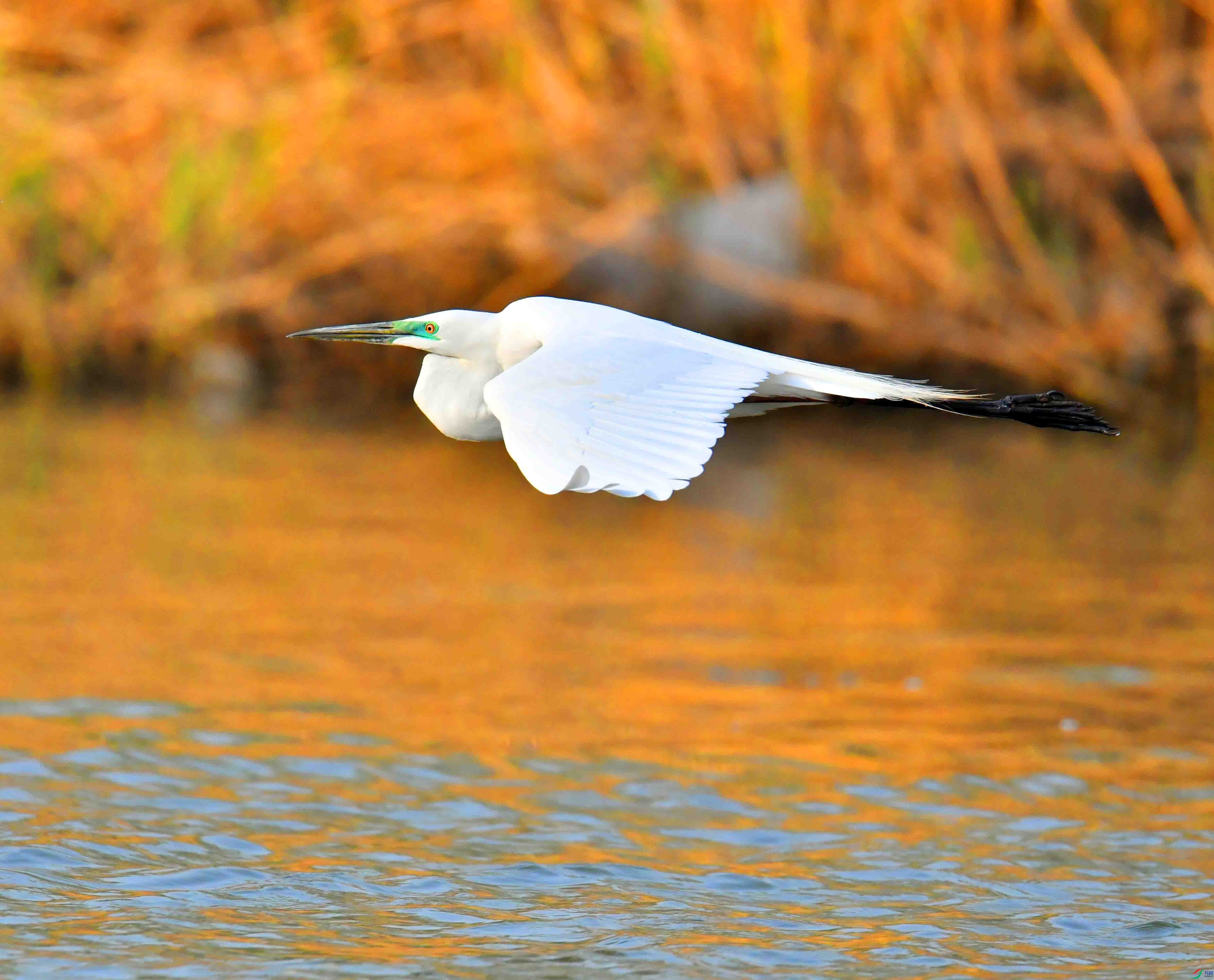 DSC_2085.JPG